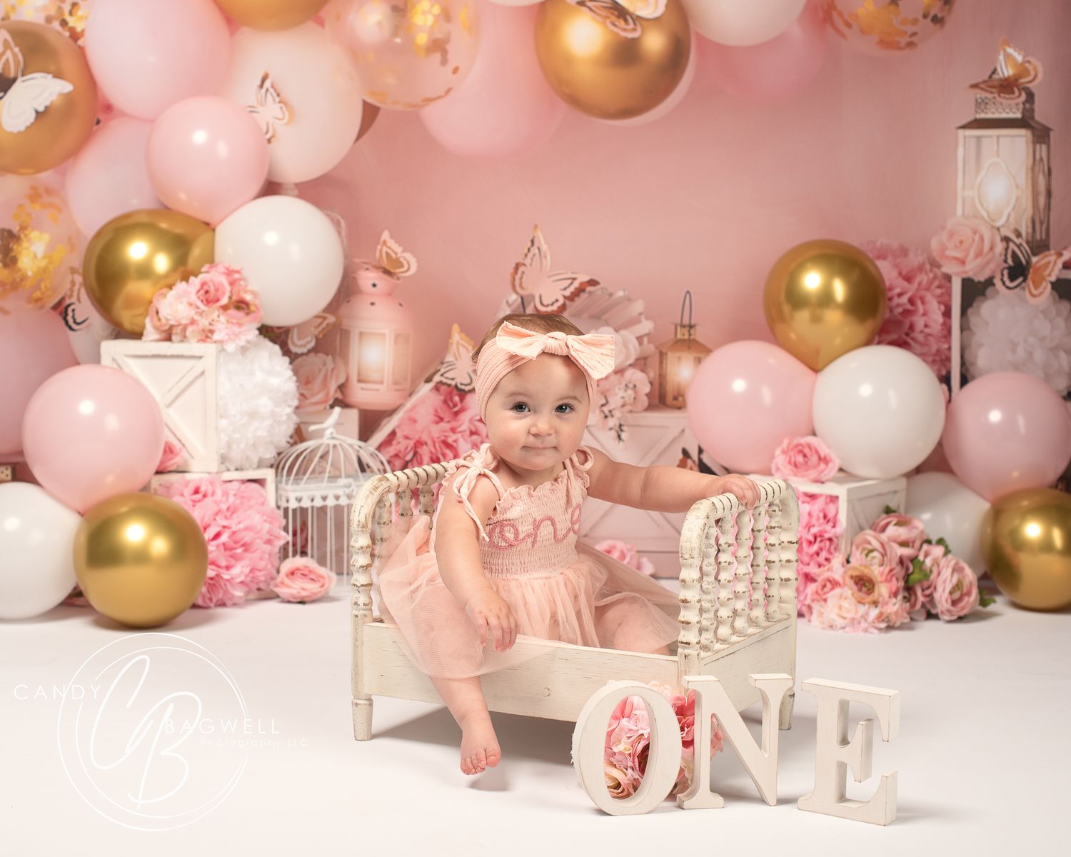 First birthday portrait with an elegant pink and gold balloon setup by Candy Bagwell Photography, serving Fletcher, Asheville, and Western N