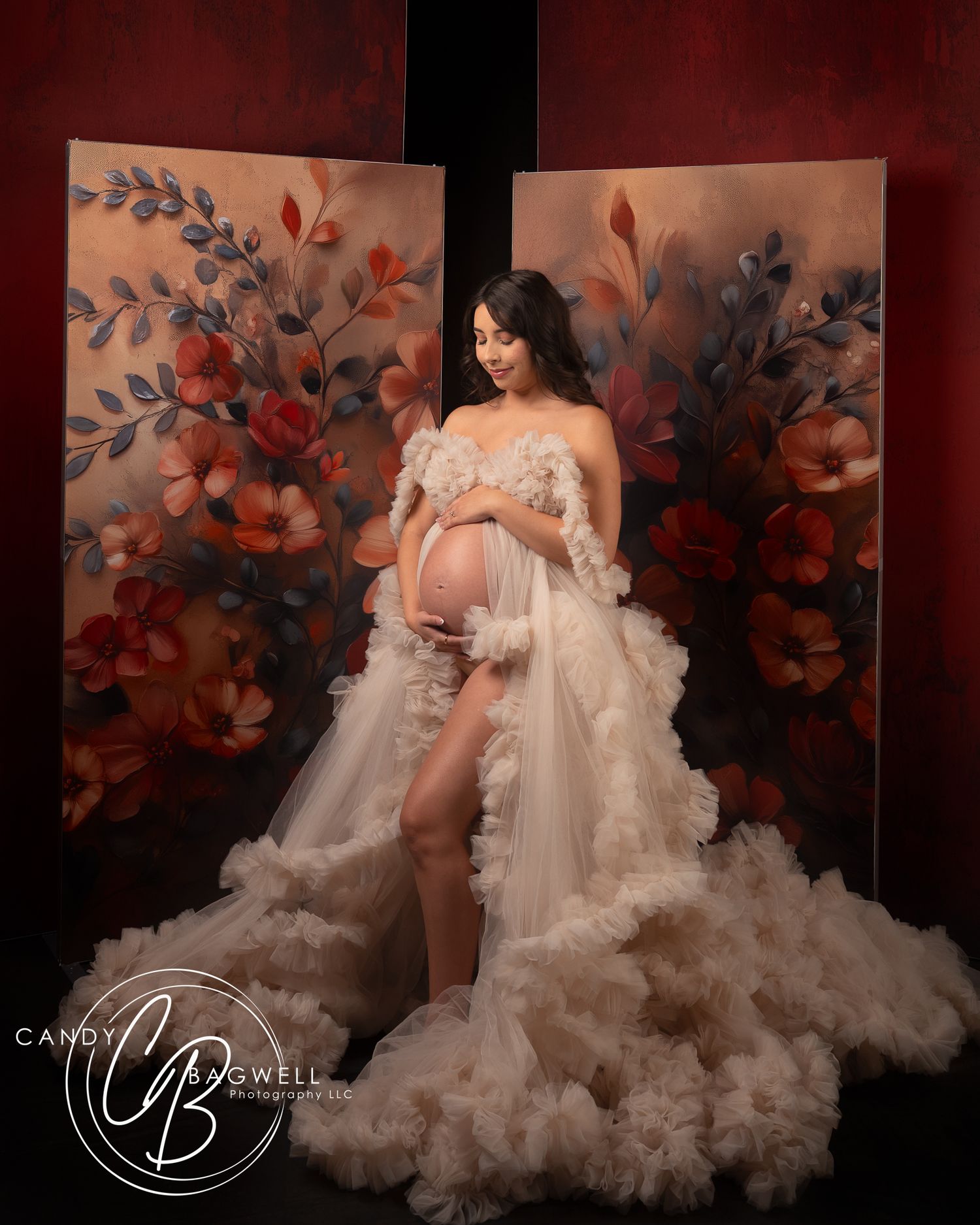 Luxury maternity by Candy Bagwell Photography, professional photographer serving Fletcher, Hendersonville, Asheville, and Western NC.