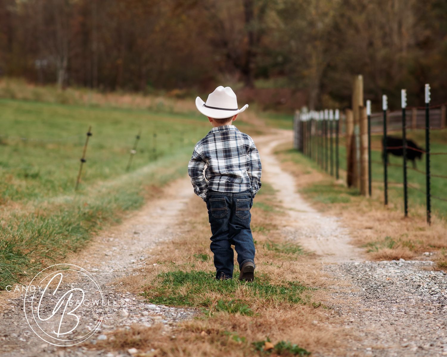 Outdoor session by Candy Bagwell Photography, professional photographer serving Fletcher, Hendersonville, Asheville, and Western NC.