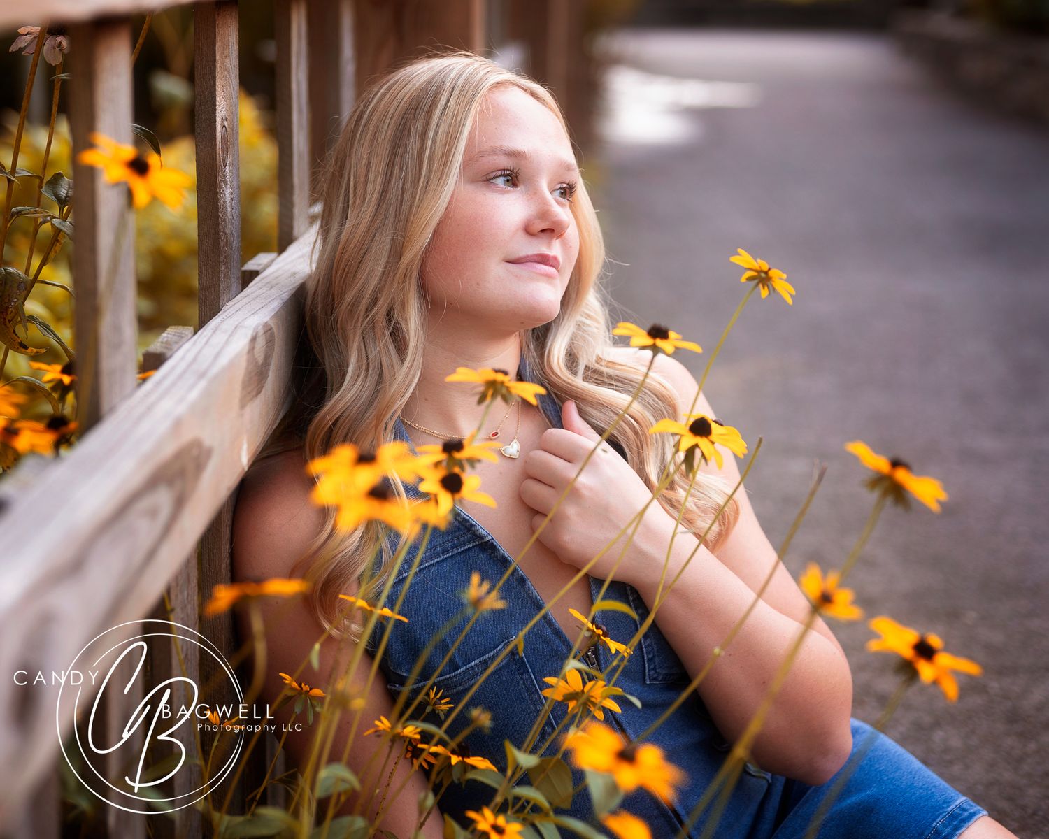 Outdoor Senior session by Candy Bagwell Photography, professional photographer serving Fletcher, Hendersonville, Asheville, and Western NC.