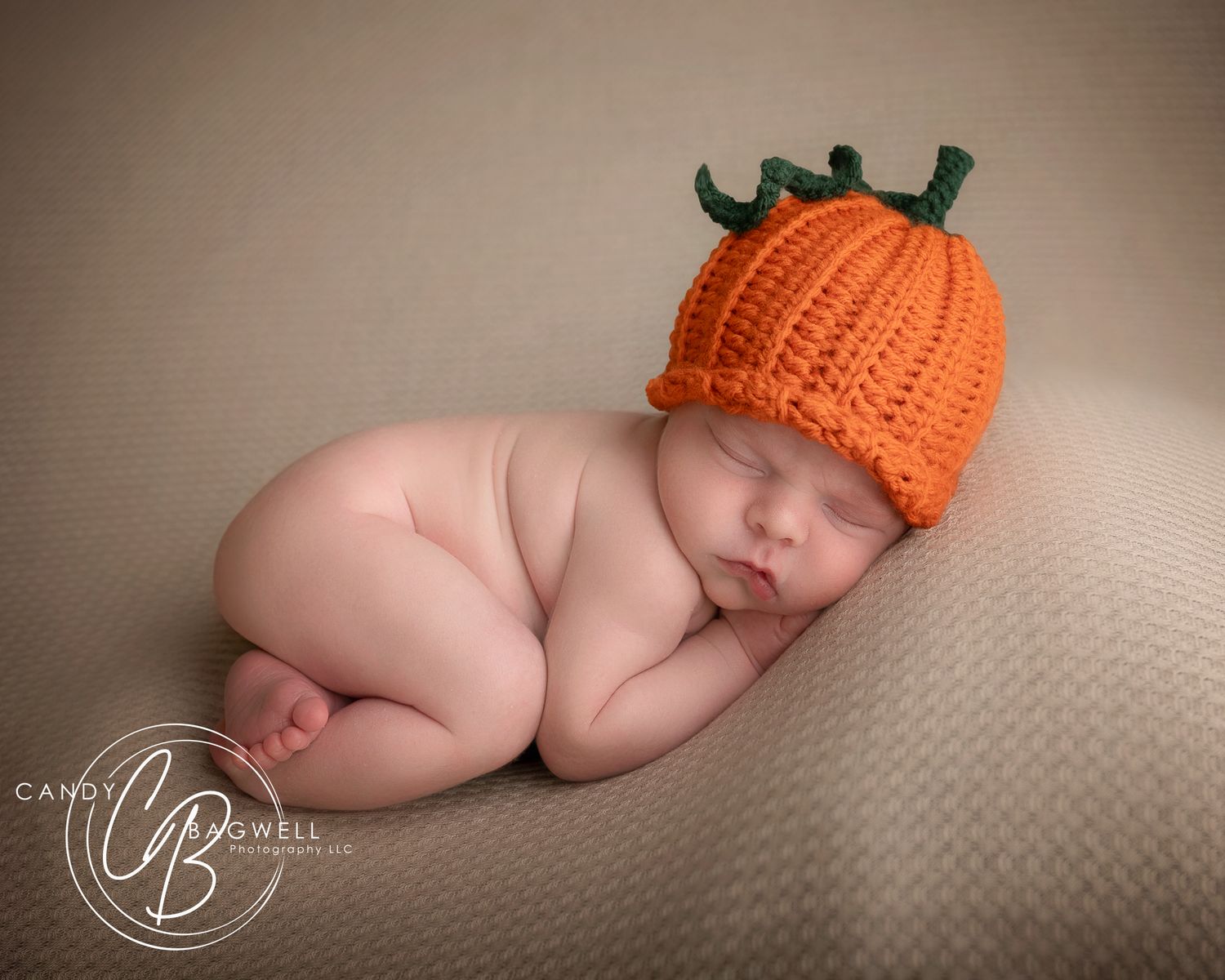 Simple posed newborn portrait by Candy Bagwell Photography, professional newborn photographer serving Fletcher, Asheville, and Western NC.