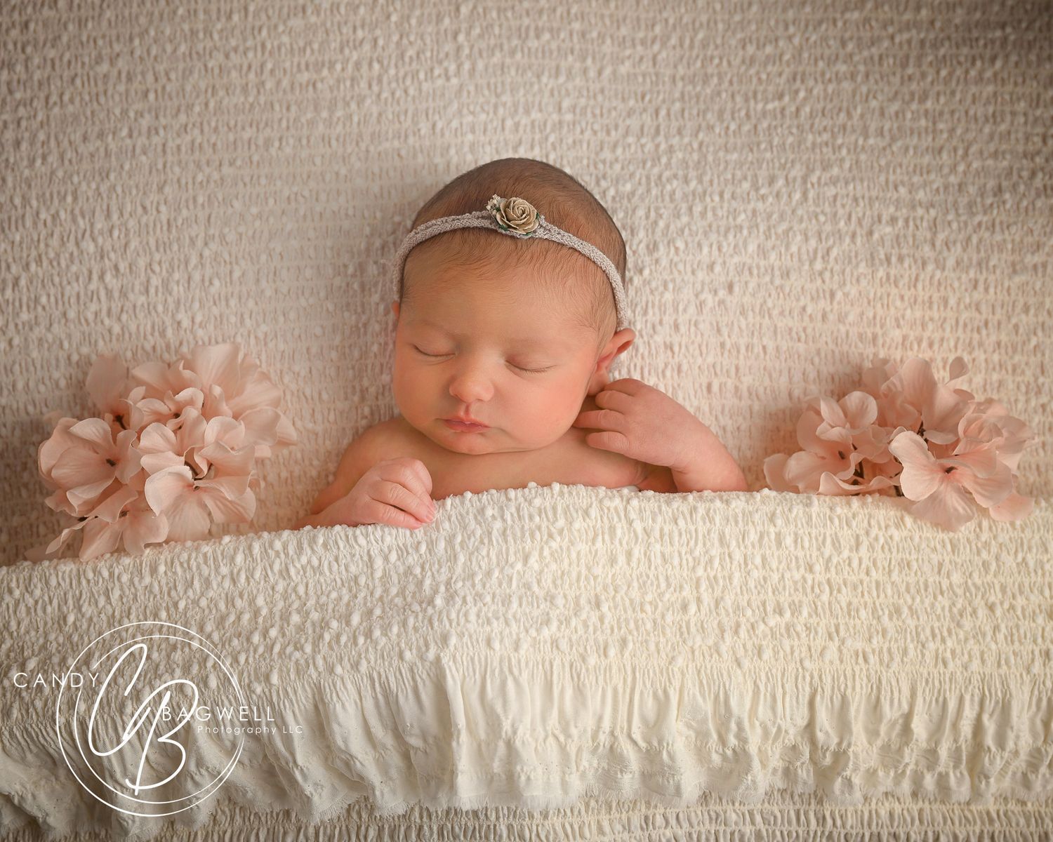 Newborn portrait by Candy Bagwell Photography, professional newborn photographer serving Fletcher, Hendersonville, Asheville, and Western NC