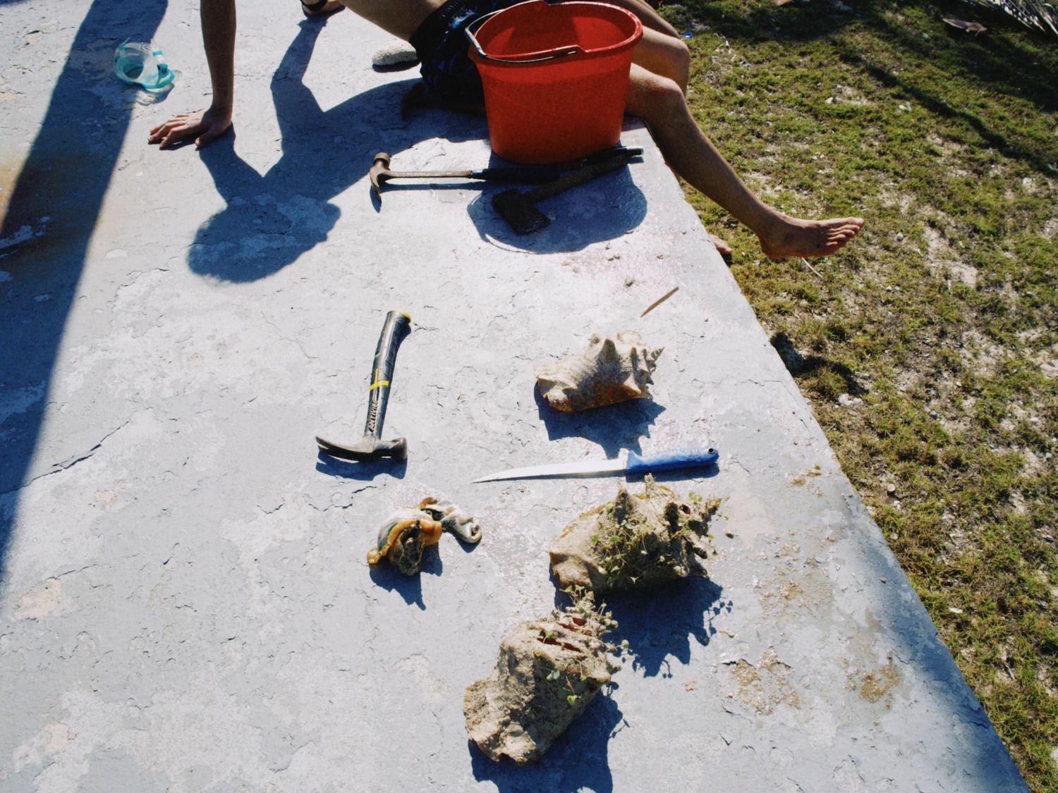 Person kneeling on concrete with tools, rocks, shells, and a red bucket outdoors in a sunny yard.