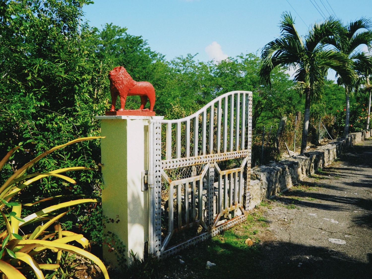 Red lion statue atop white gate pillar surrounded by lush tropical palm trees and greenery in a garden entrance.