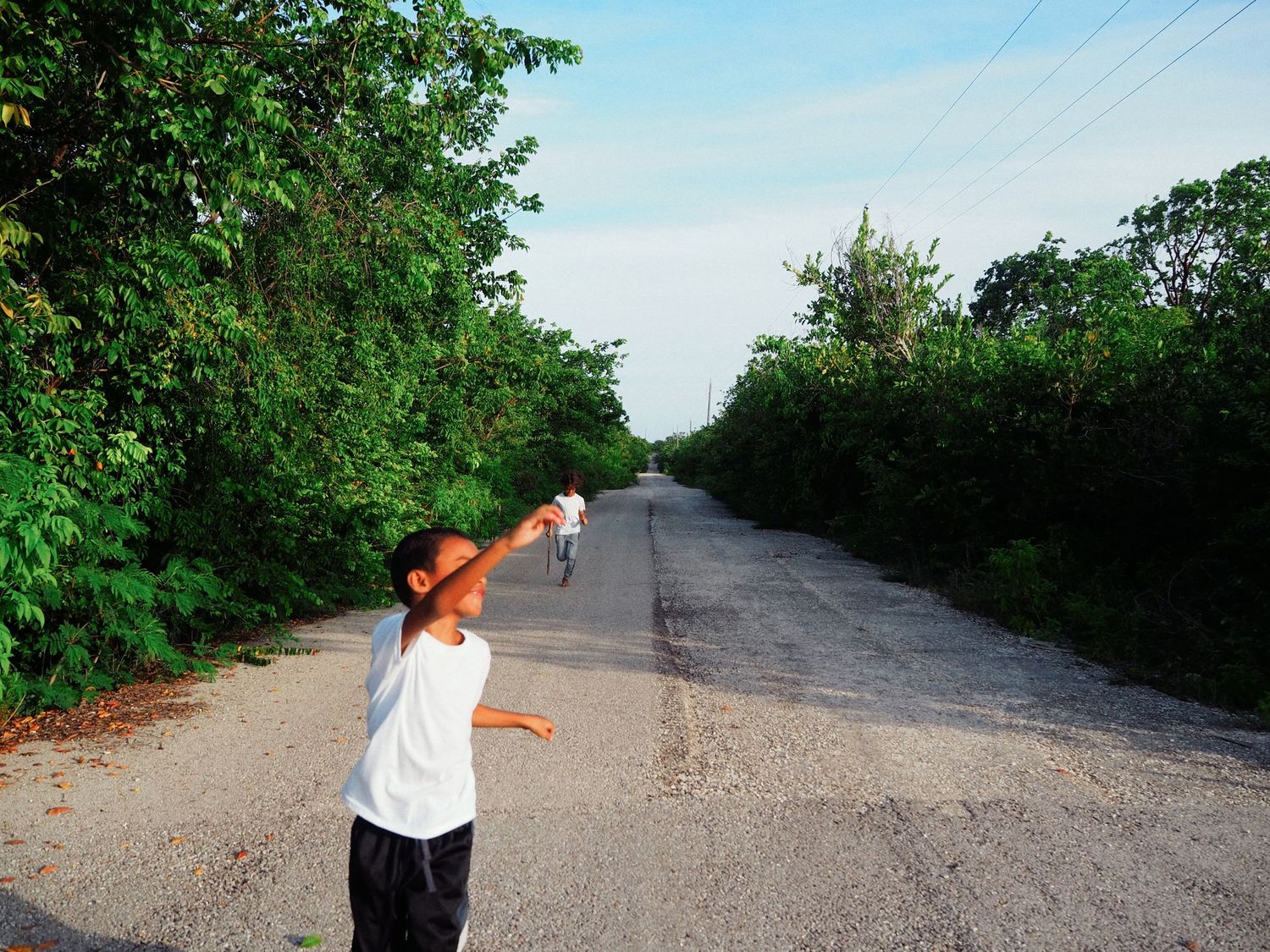 A series of eight sequential images showing someone throwing a disc down a gravel road surrounded by green trees.