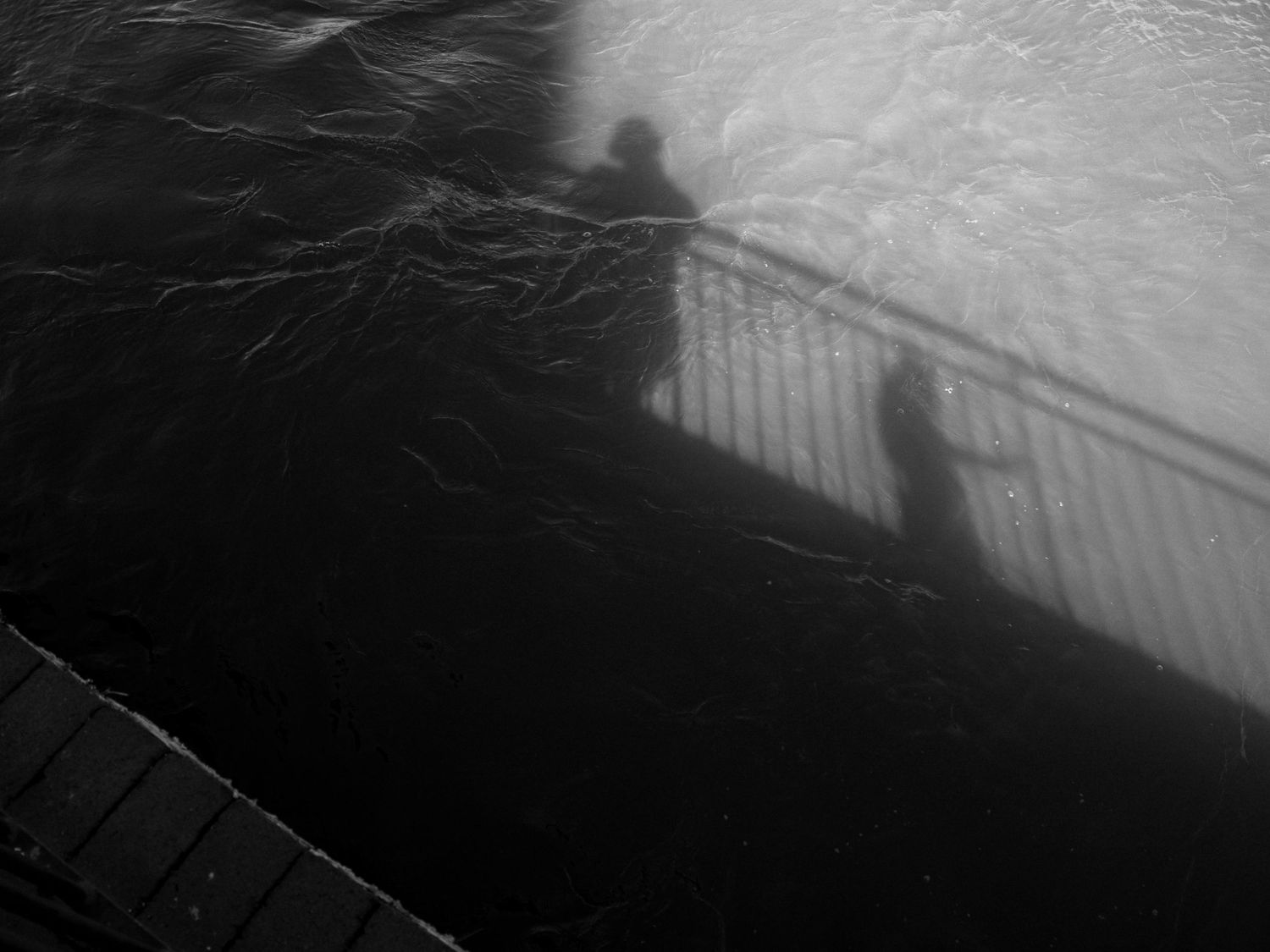 Silhouetted figures cast shadows on a railing against a misty black and white background.