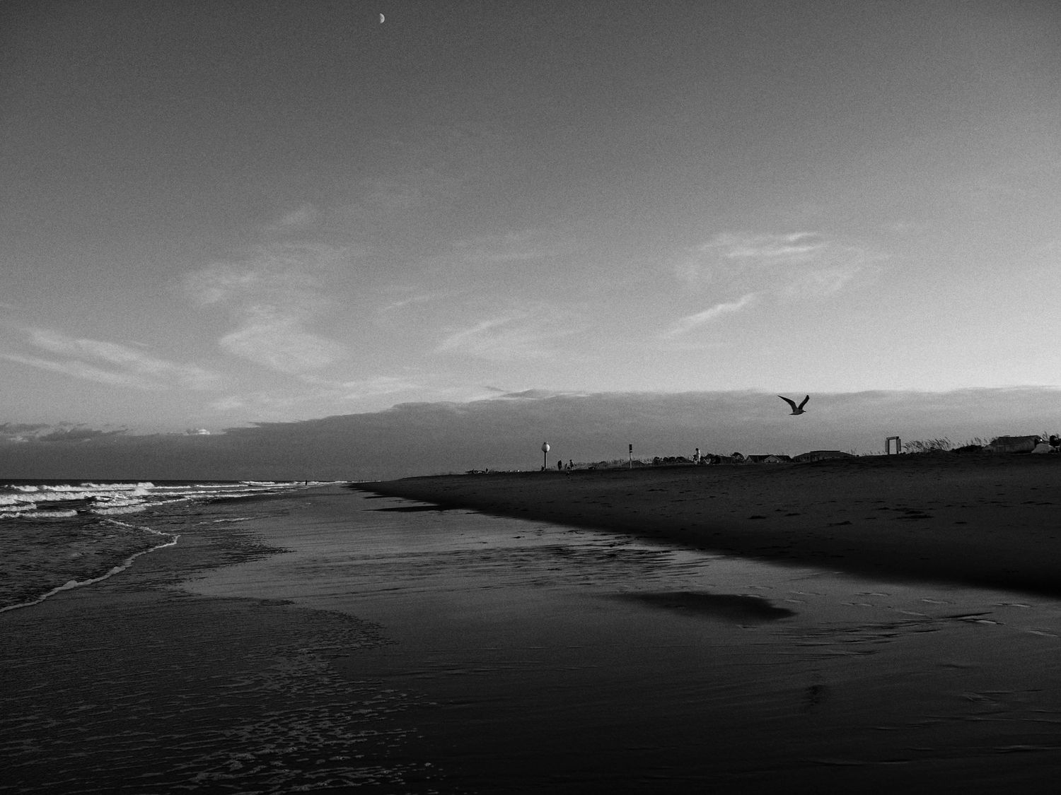A black and white coastal landscape with birds flying over a beach and mountains visible in the distance.