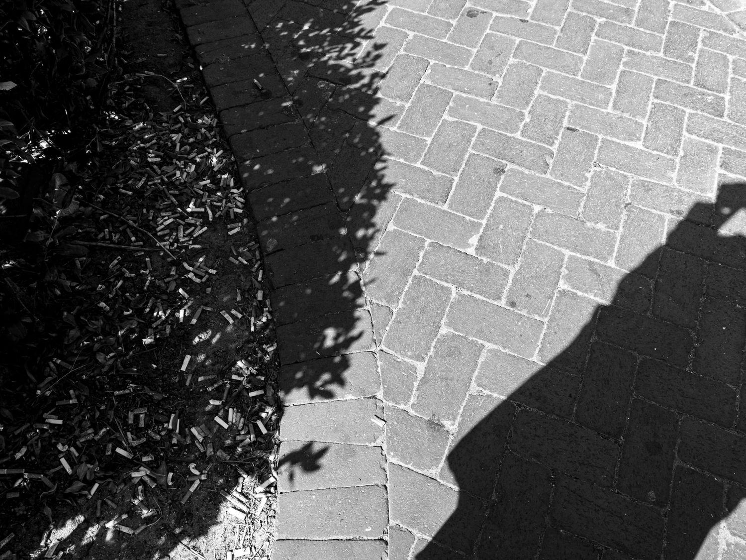 A shadow of a person walking on a patterned brick or stone pathway with partial foliage visible in the frame.