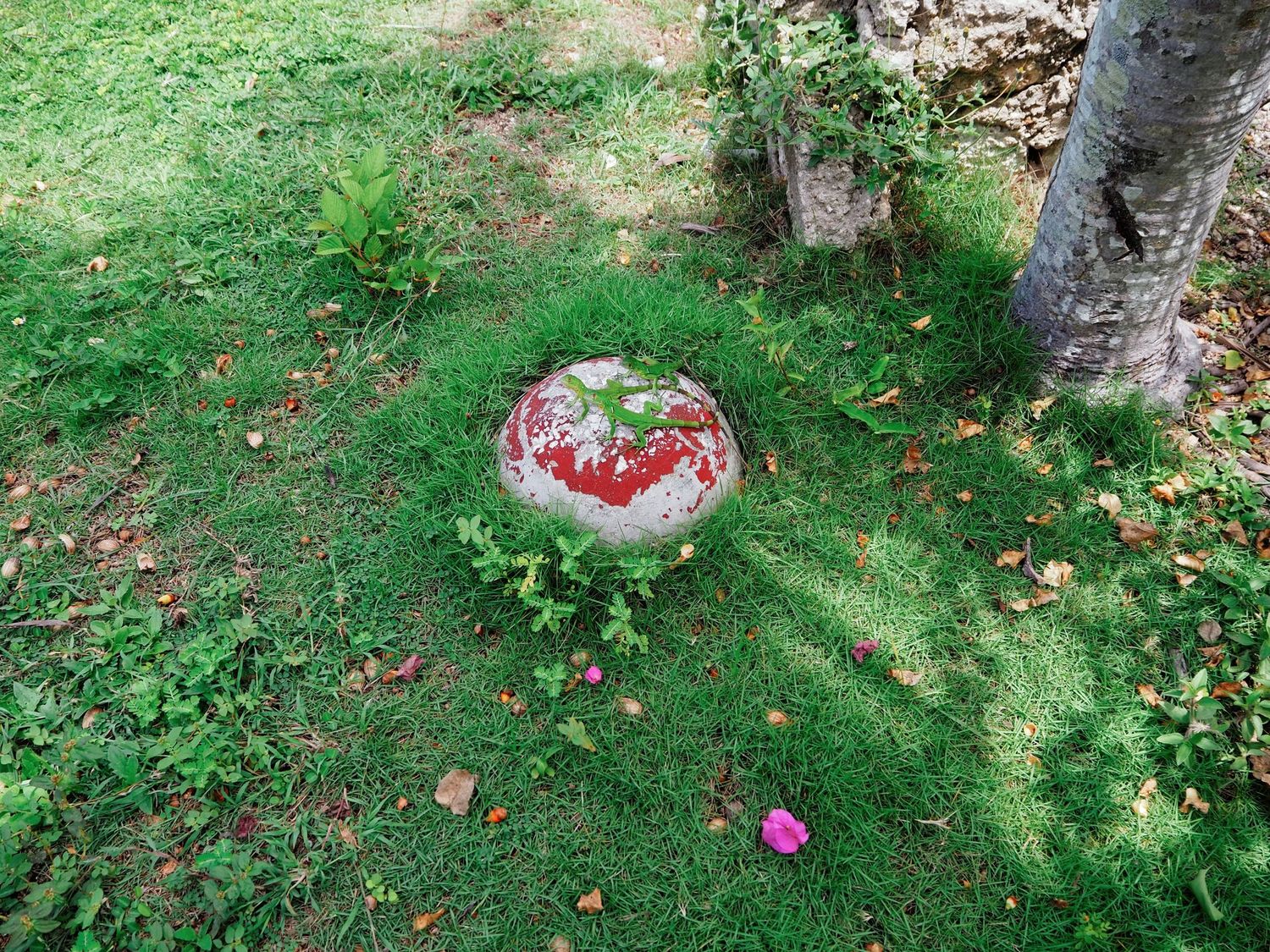A decorative concrete bird bath with red flowers sits on a green lawn beneath a tree.