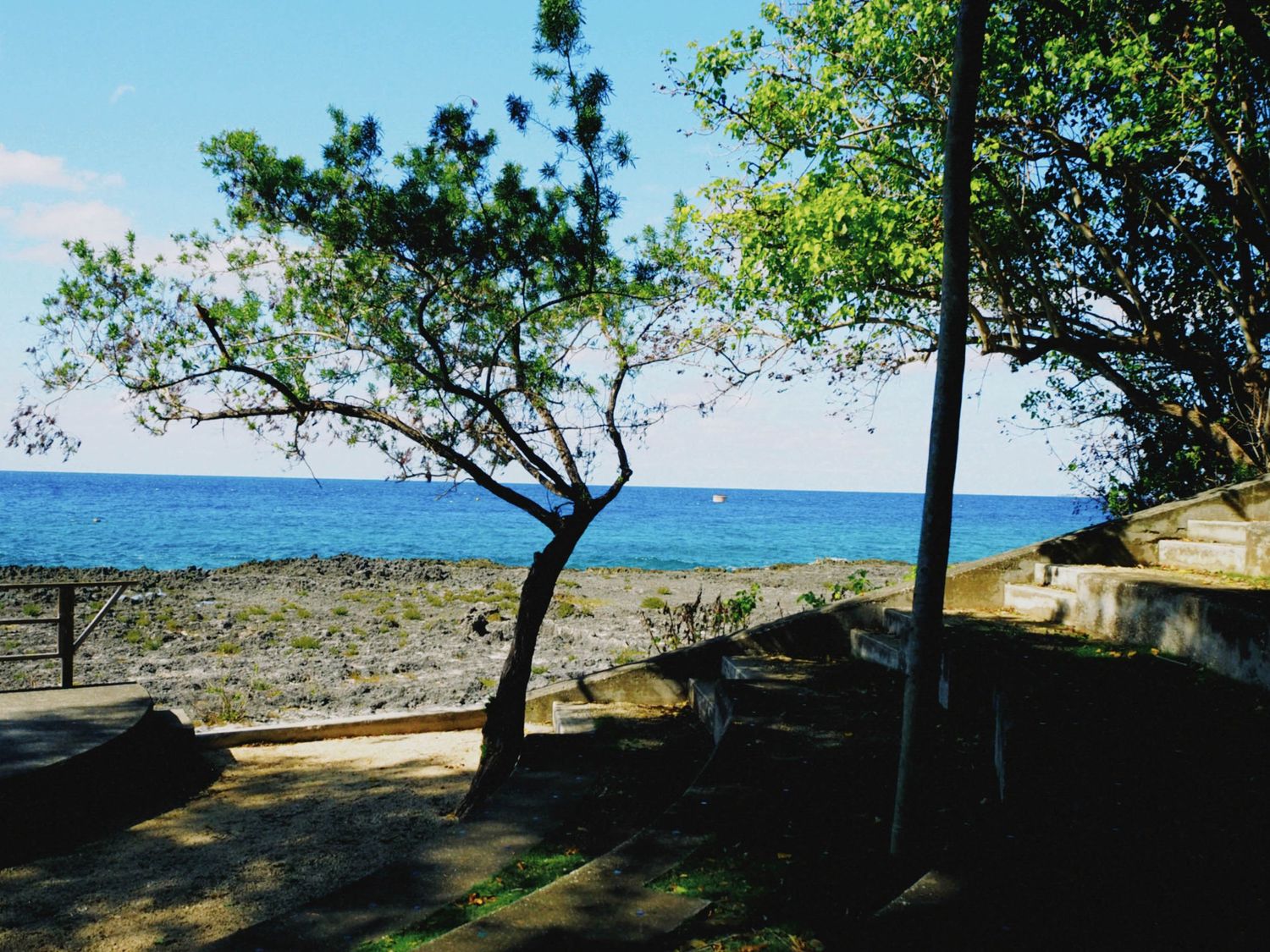 Scenic coastal view with lush green trees framing a calm blue ocean under a partly cloudy sky.