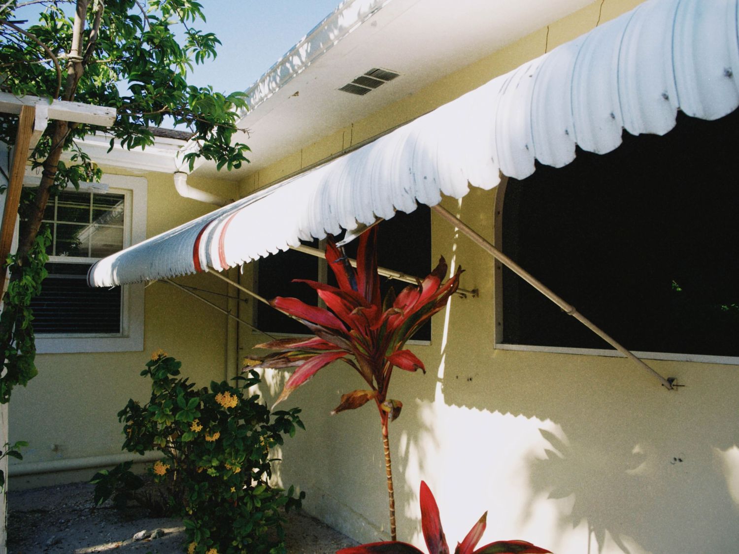 White striped retractable awning on a yellow house exterior with tropical red plants in the foreground.