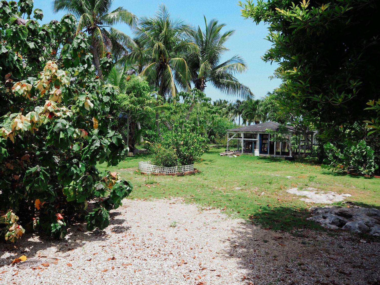 A winding path through a tropical garden with palm trees and lush vegetation leads to a sandy clearing.