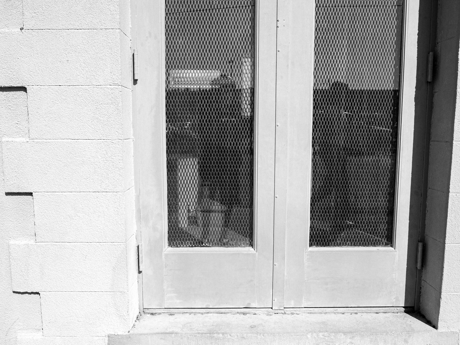 Black and white view of a screened porch door with white frame against light colored exterior wall.
