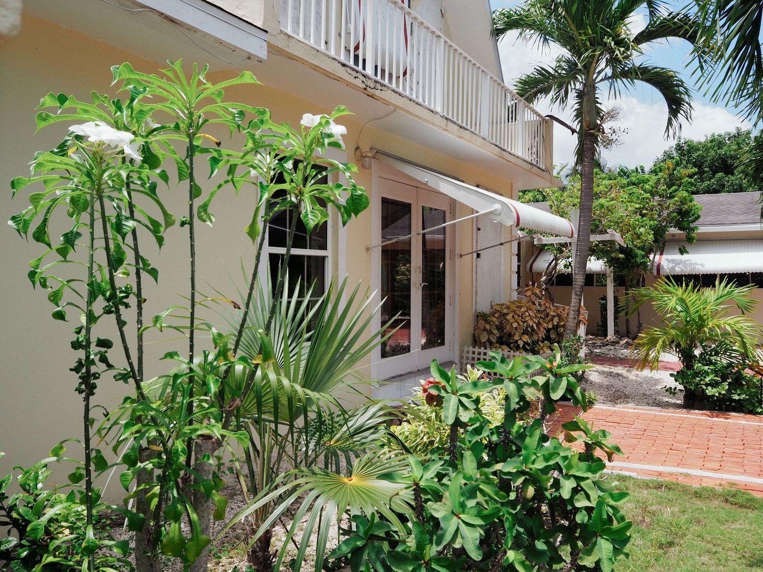 Tropical home exterior with lush green gardens, palm trees, and a patio surrounded by vibrant foliage in a sunny setting.