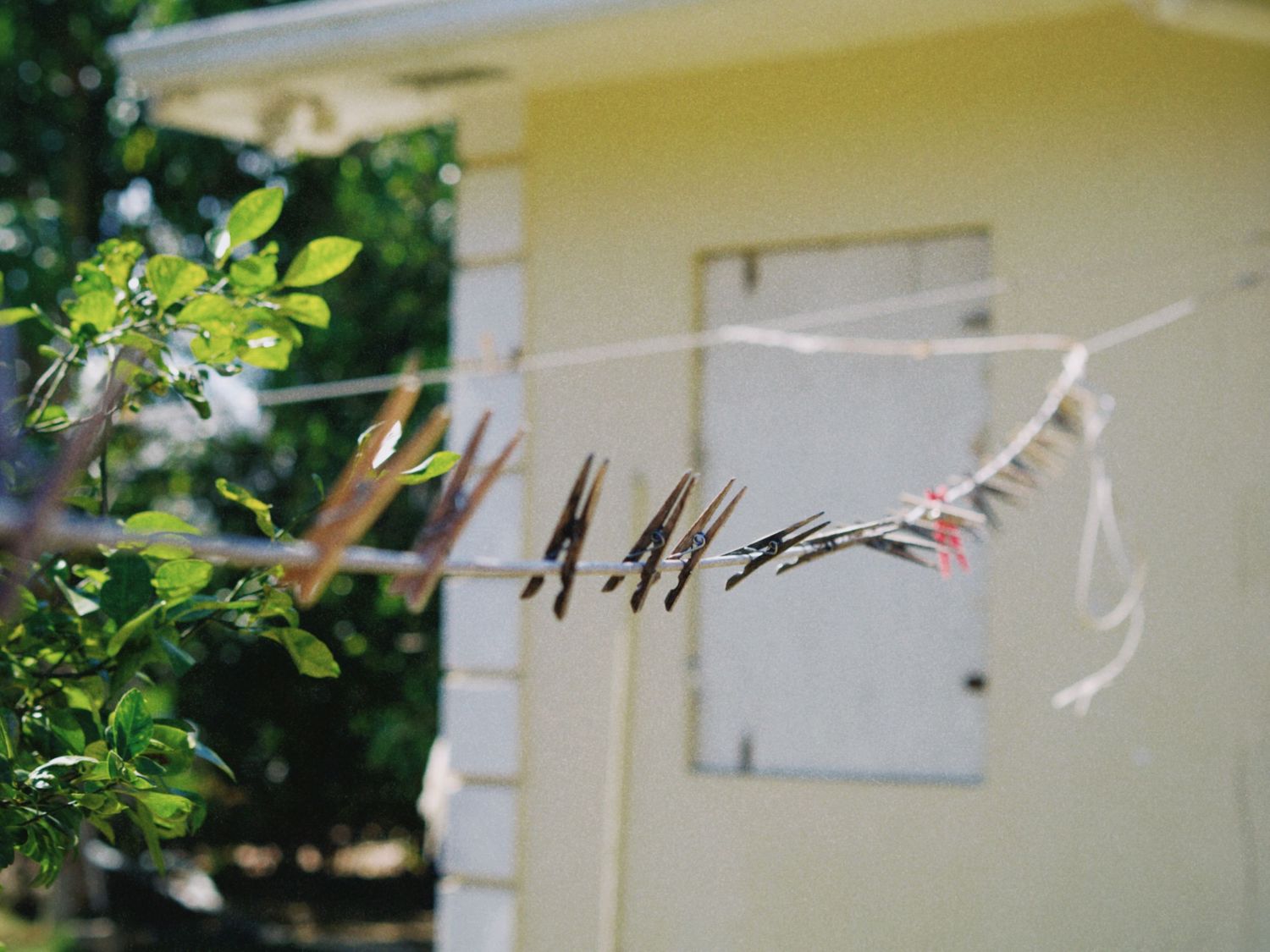 Wooden clothespins clipped on a clothesline outdoors near a yellow house with lush green trees in the background.