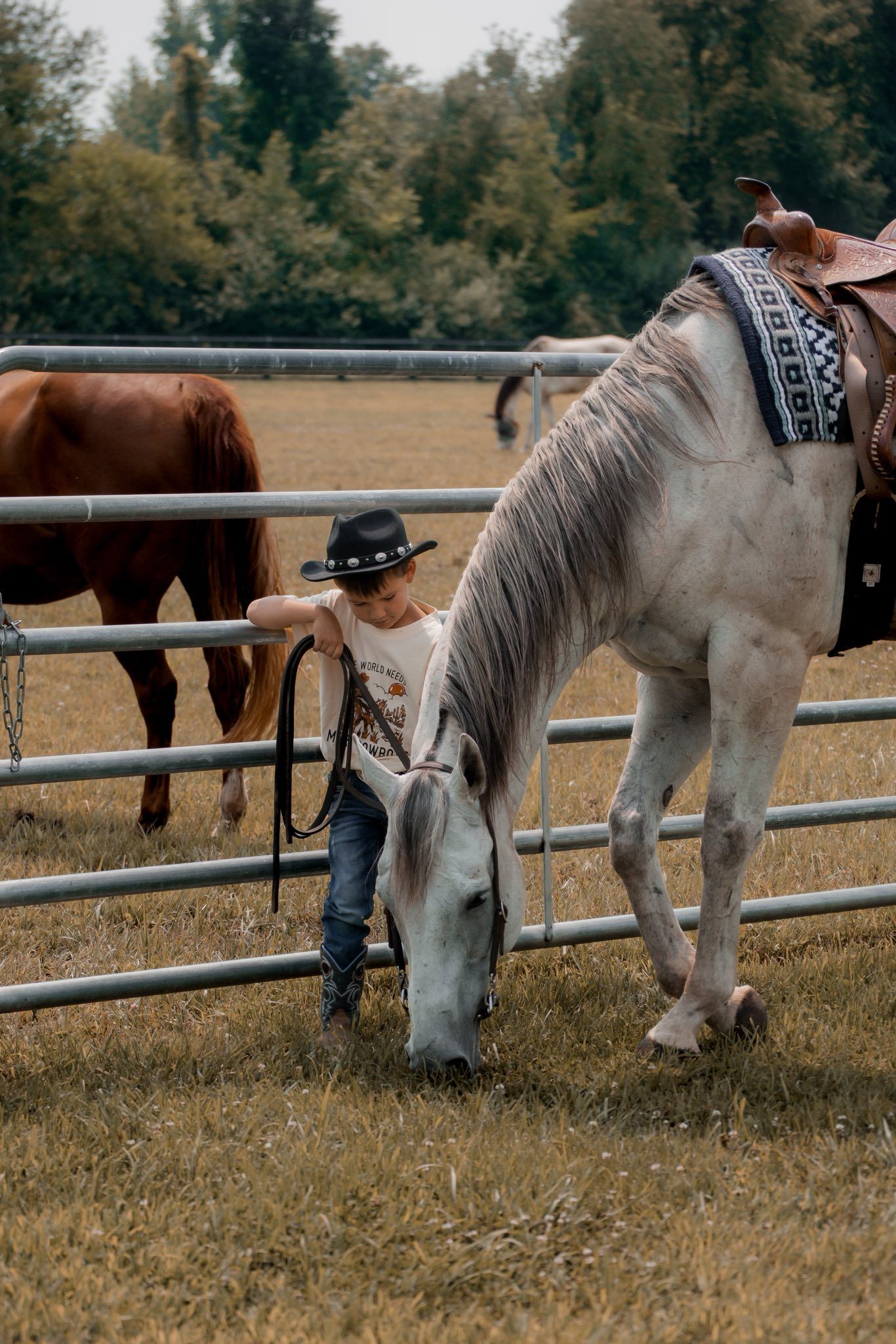 Boy at a farm with his horses