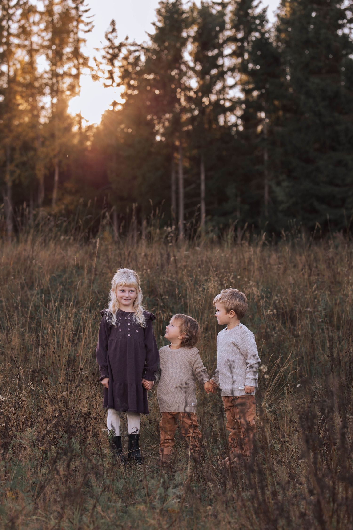 Children play together in a golden field at sunset among tall grass and evergreen trees in the background.