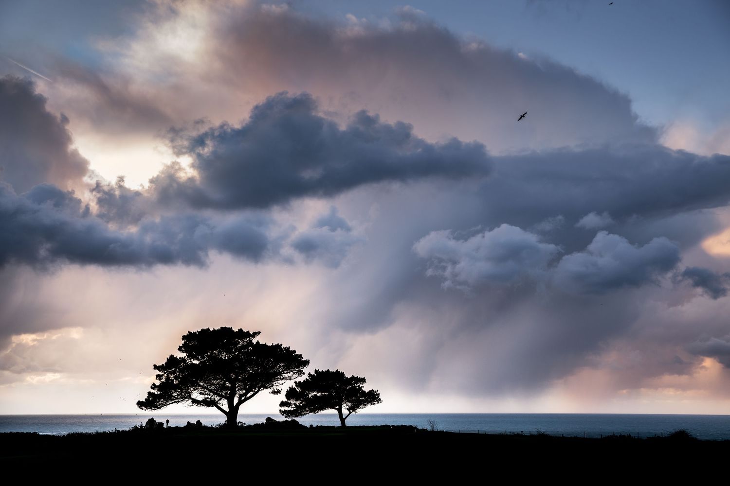 Dramatic sunset sky with dark silhouetted trees against a moody cloudy horizon.
