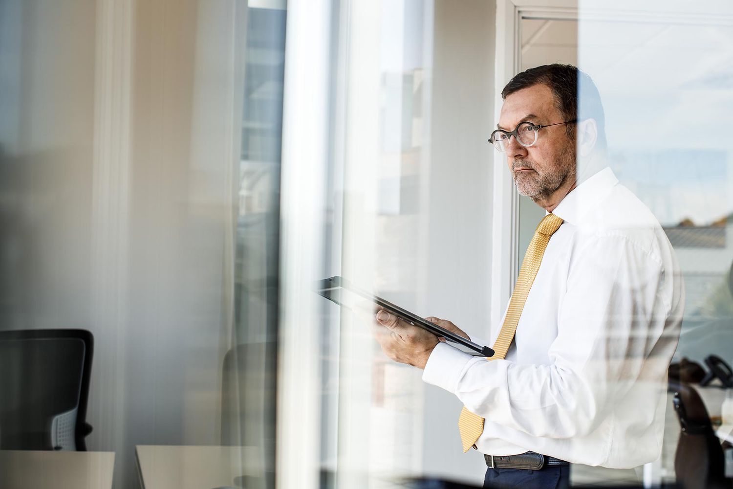Business professional reviewing documents while standing by office window.