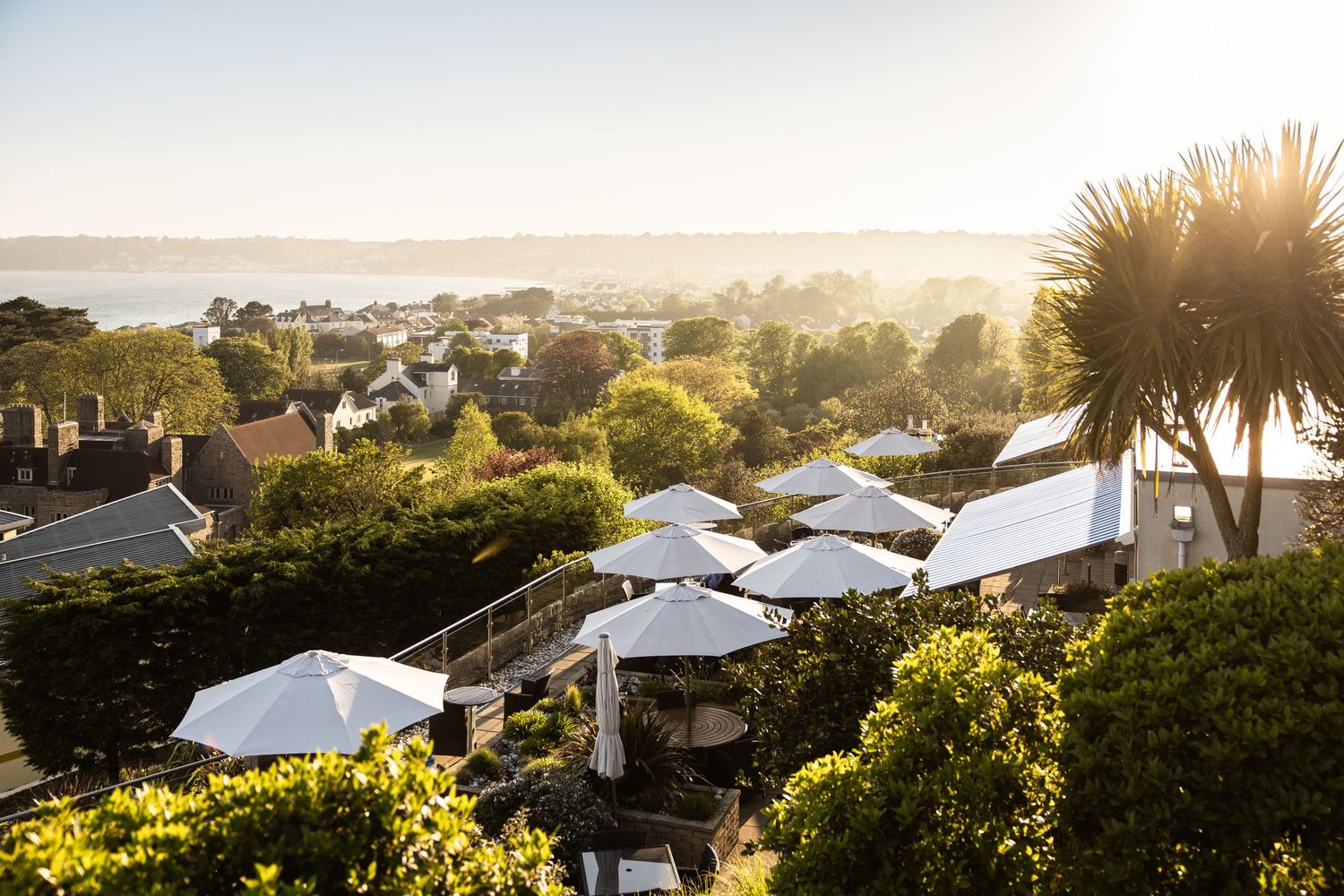 Scenic coastal neighborhood view at sunset with palm trees and residential homes.