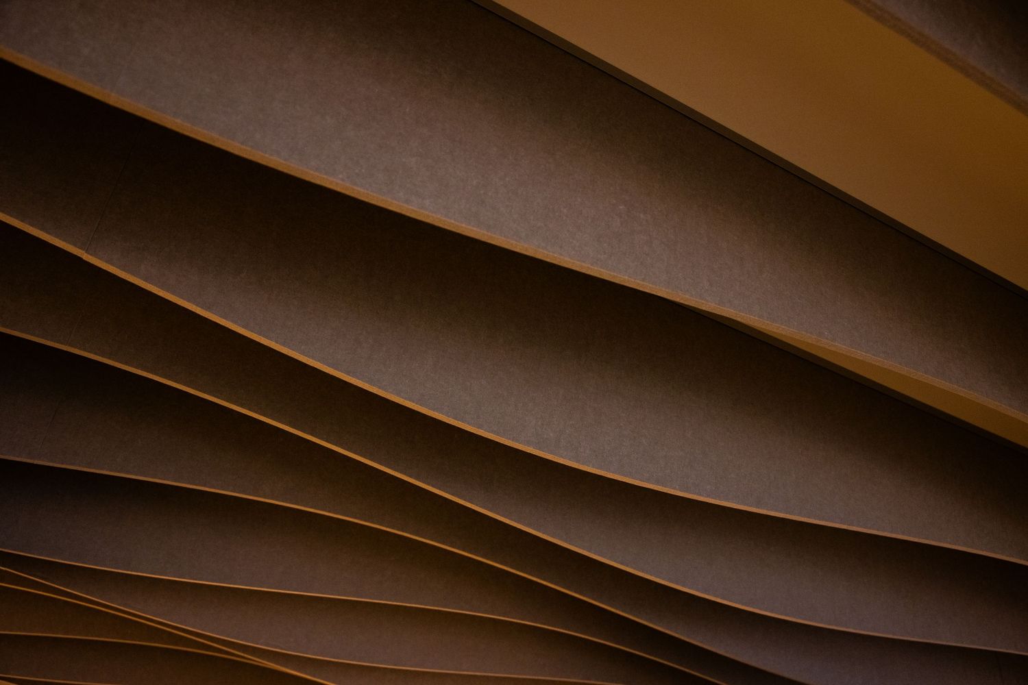 Architectural detail of modern curved wooden ceiling beams in warm lighting.