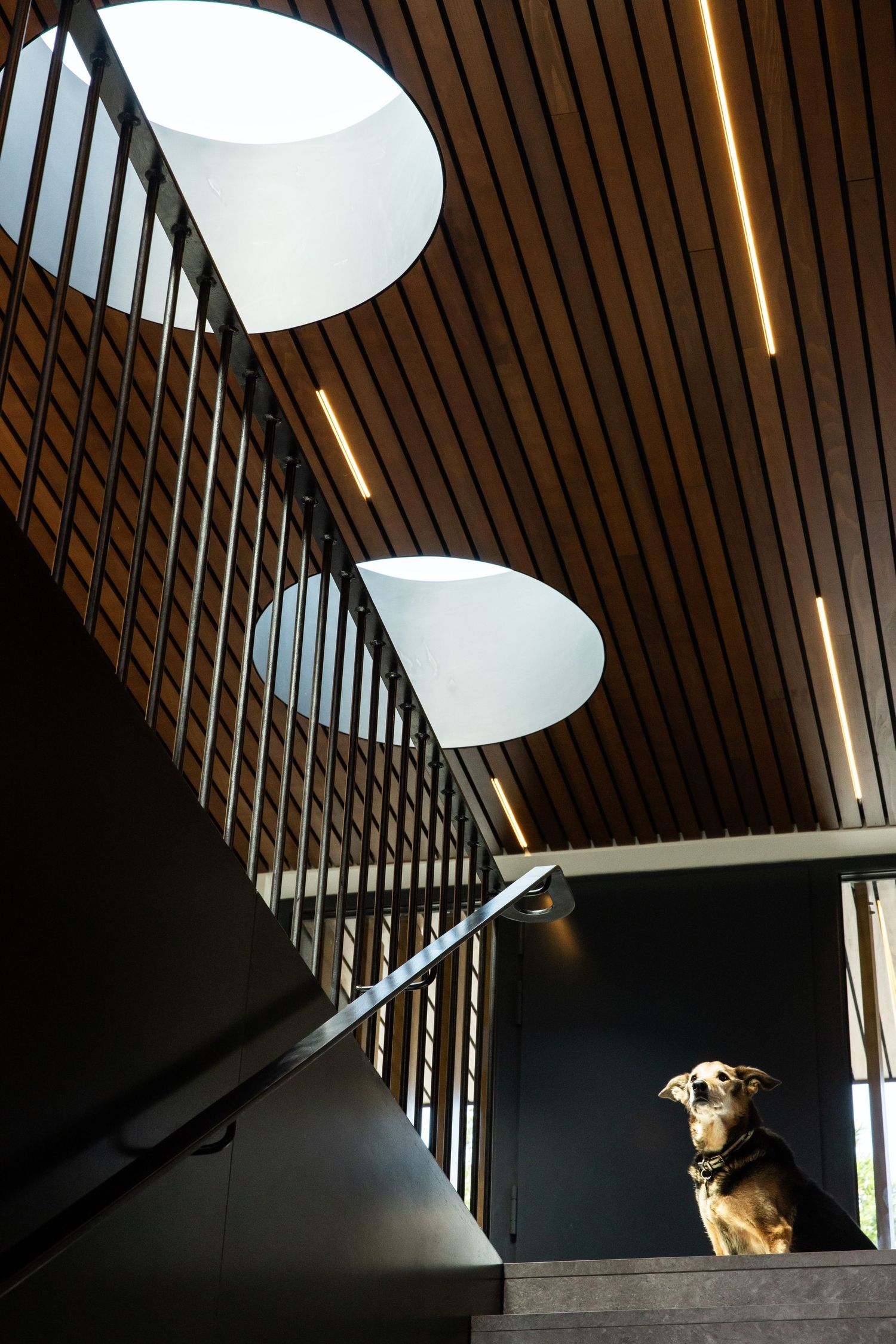 Interior stairwell with wooden slat ceiling and circular skylights creating dramatic lighting.
