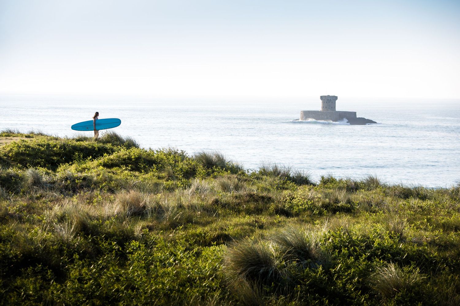 Coastal grassland overlooking the ocean with a distant lighthouse visible on the horizon.