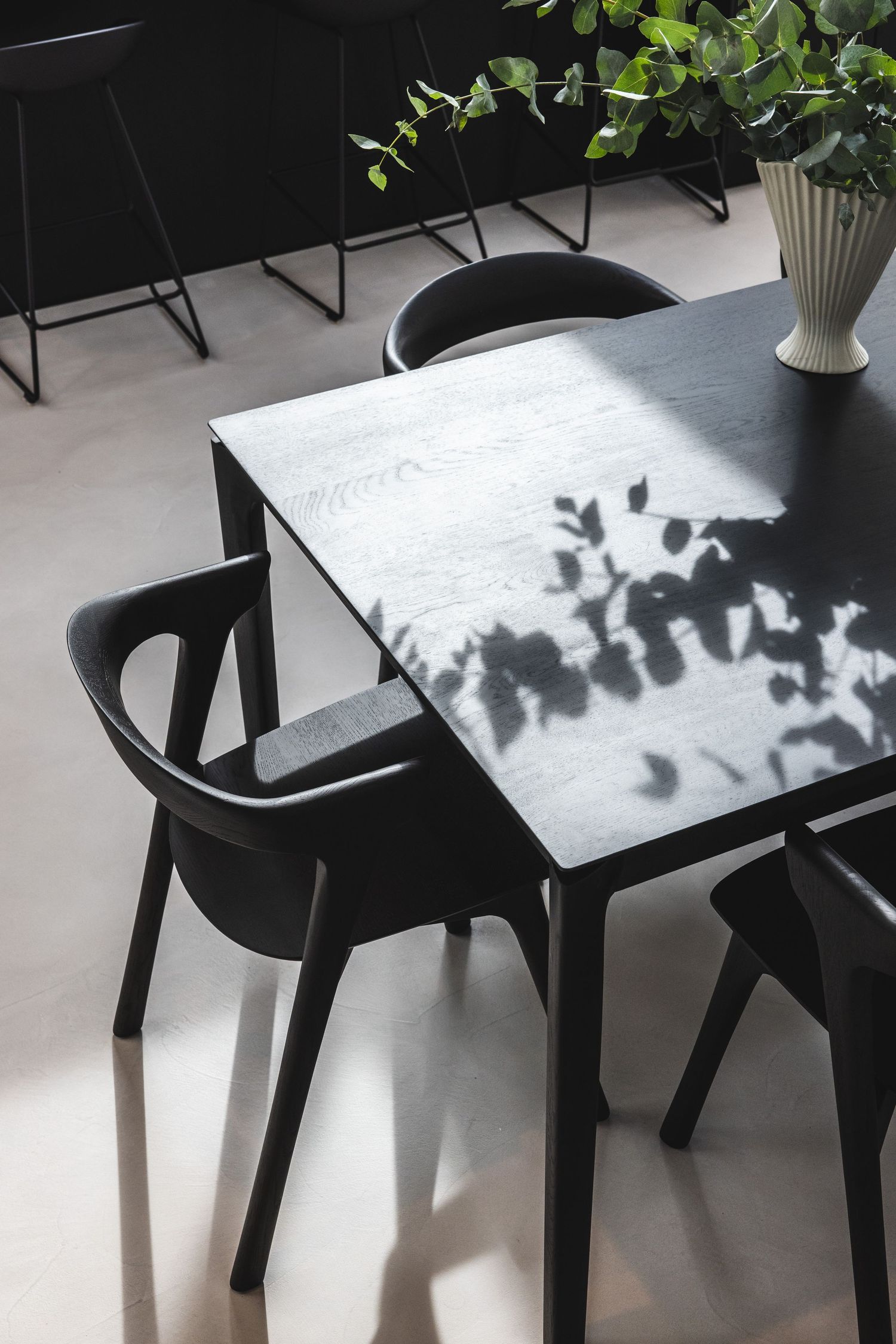 Modern black dining chairs and table casting leaf shadows on a white surface in natural light.
