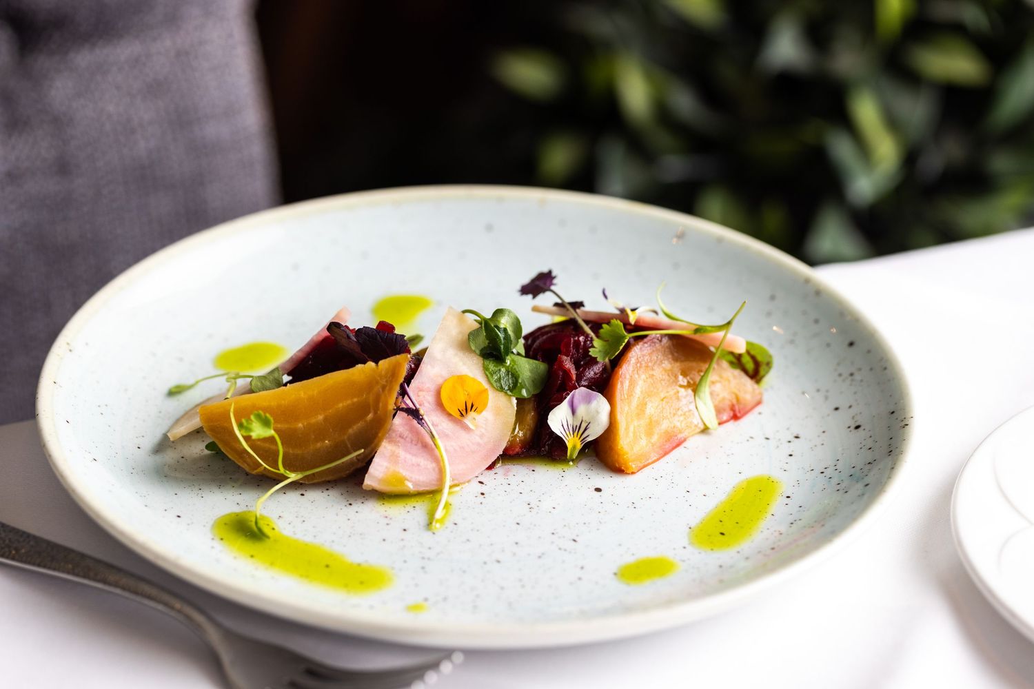 Minimalist plated dishes with olive oil drizzles on white ceramic plates against a gray background.