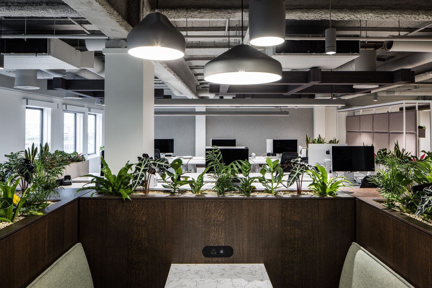 Modern open office space with exposed ceiling, sleek lighting fixtures, and indoor plants creating a contemporary work environment.