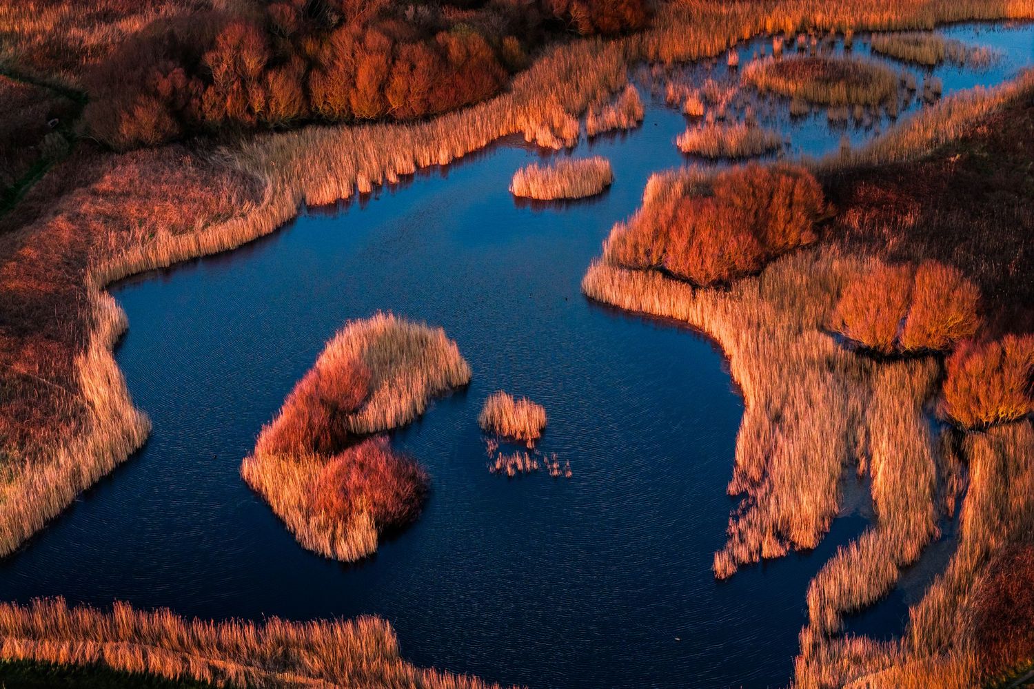Bird's eye view of vibrant fall foliage surrounding winding lake channels.