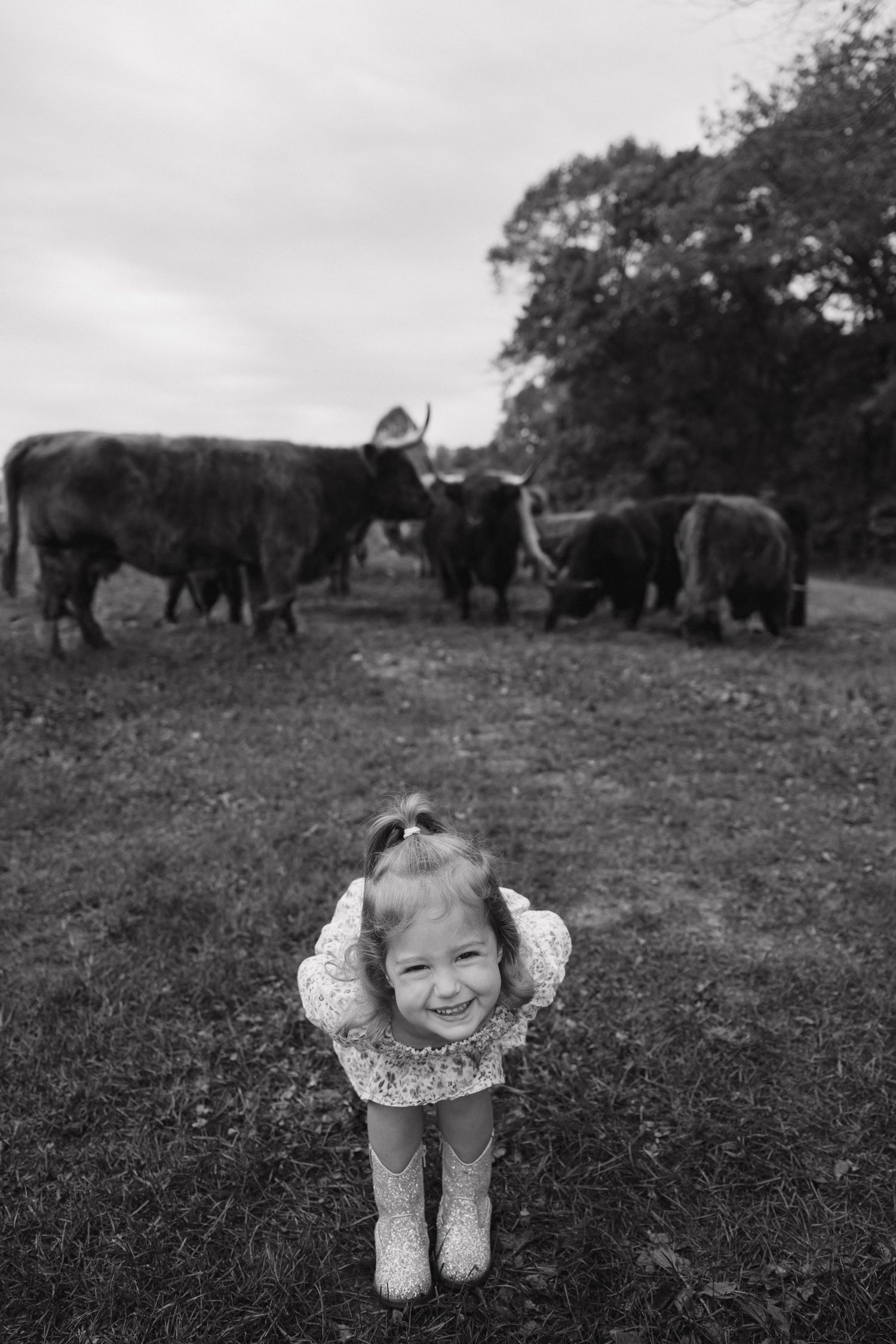 Smiling little girl in floral dress stands before Highland cattle on a farm.