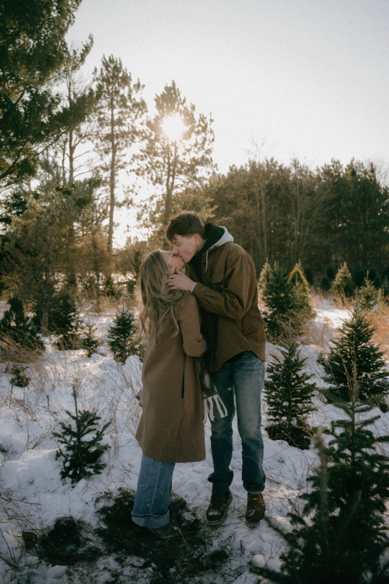 A couple shares a romantic kiss at a snowy Christmas tree farm bathed in warm golden sunset light.