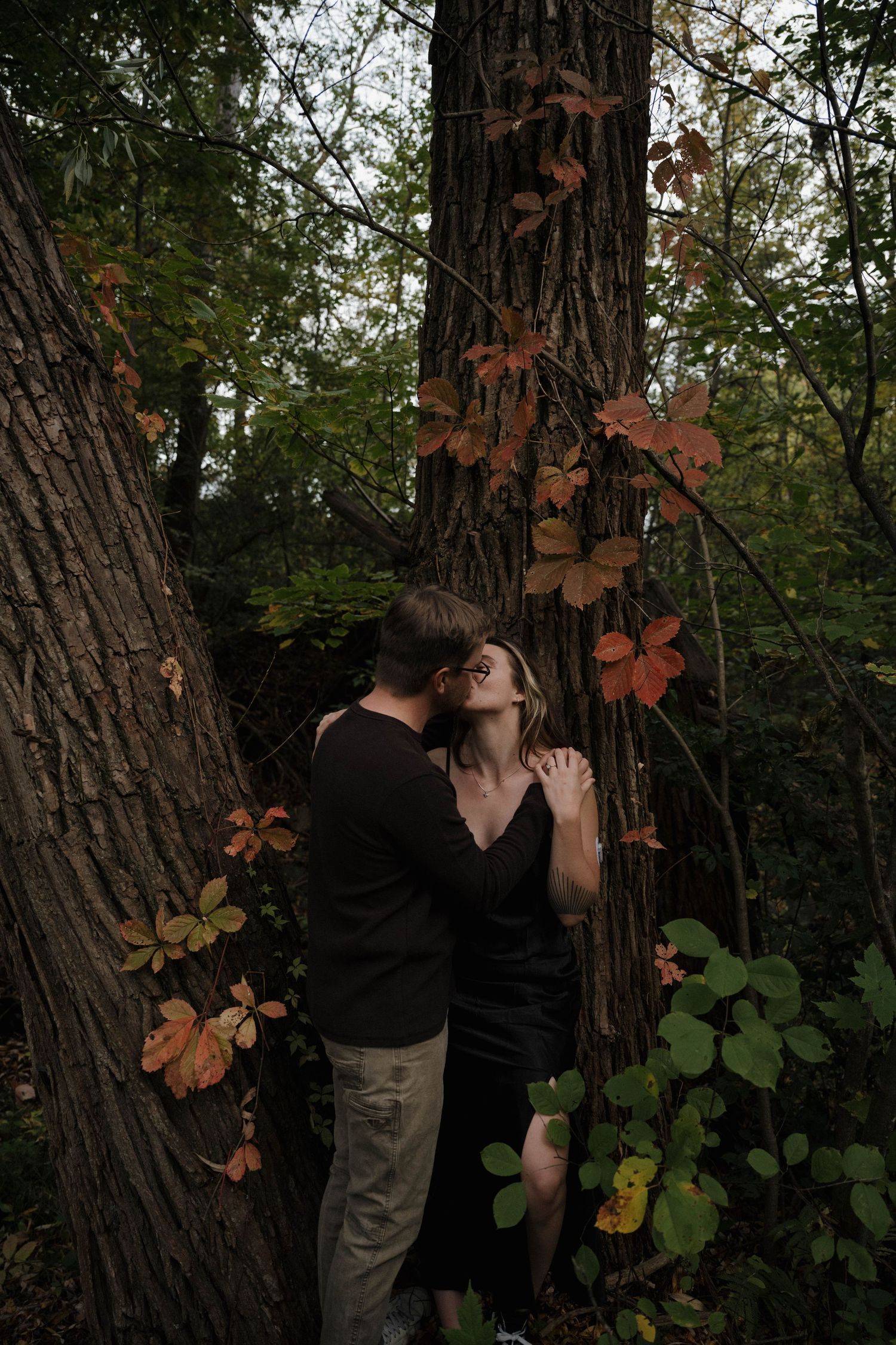 A romantic couple sharing a kiss among colorful autumn foliage beside large tree trunks in a forest.