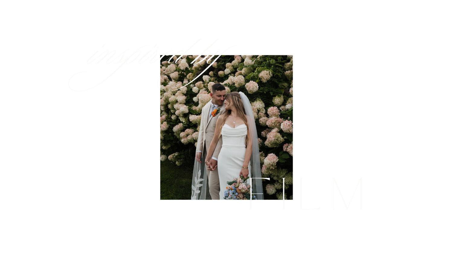 Couple shares intimate moment in front of lush pink hydrangea blooms at outdoor wedding ceremony.