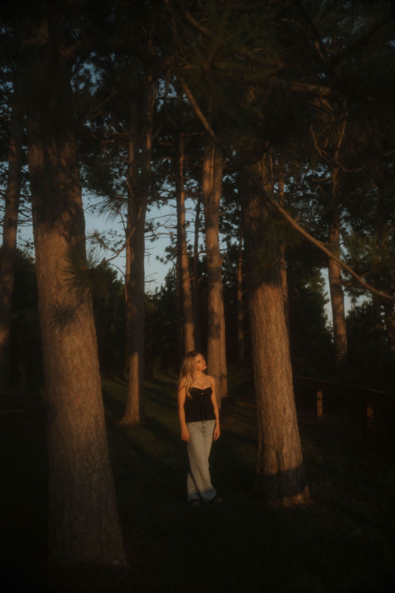 A woman stands among tall pine trees bathed in warm golden hour light in a dark forest.