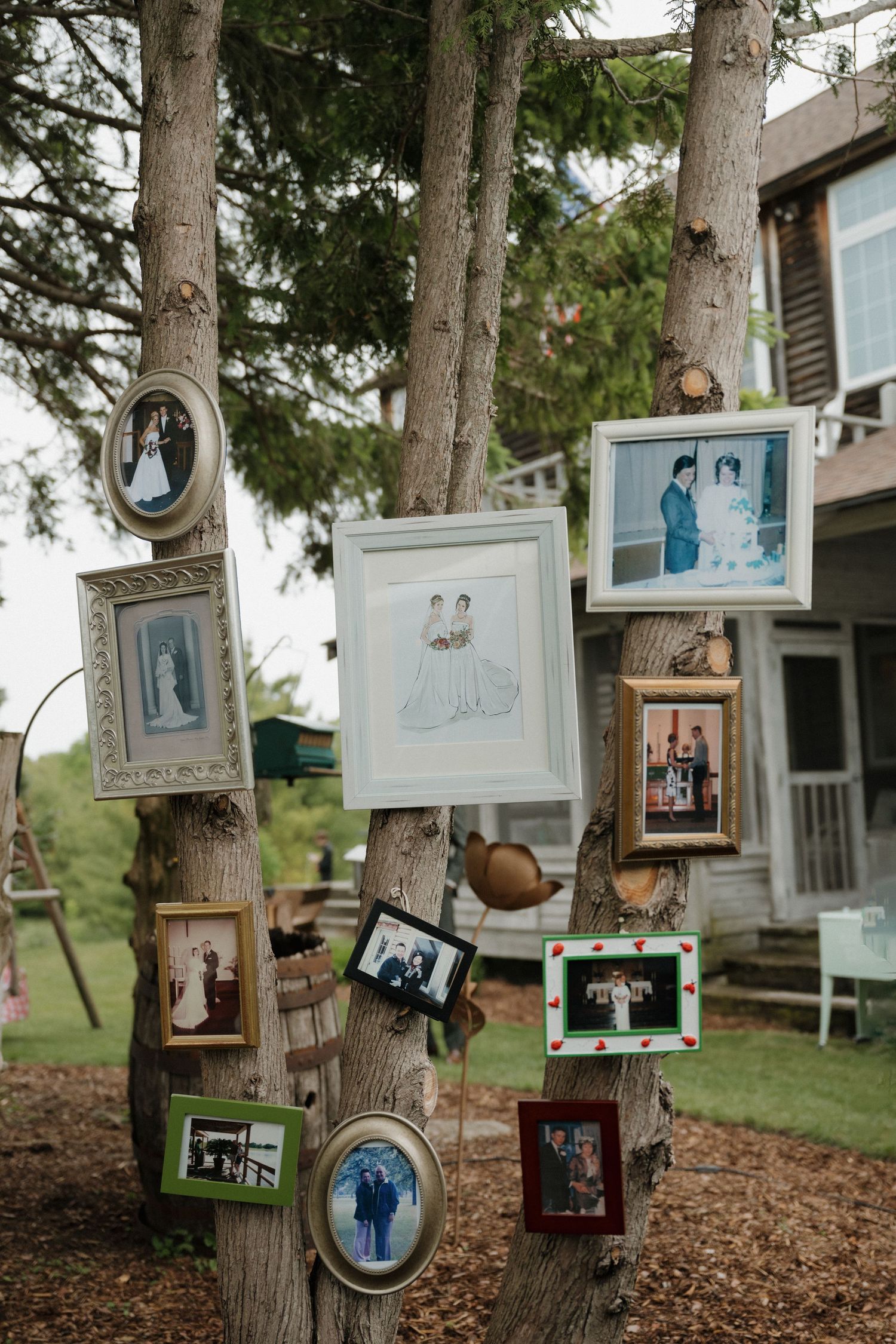 Vintage wedding photos displayed in assorted frames hung on tree trunks as rustic outdoor wedding decor.