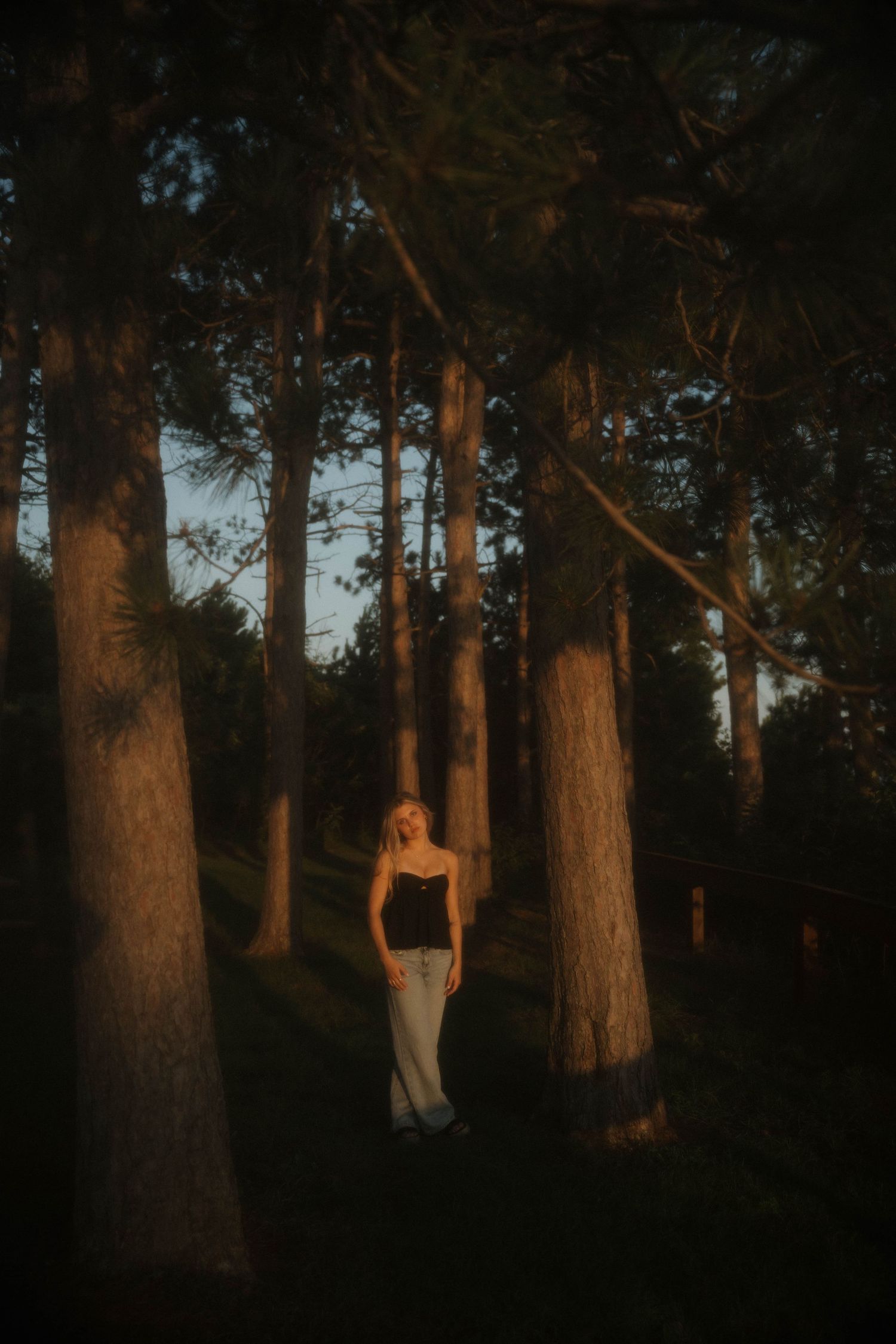 Young woman standing among tall pine trees in moody evening light wearing black top and jeans.