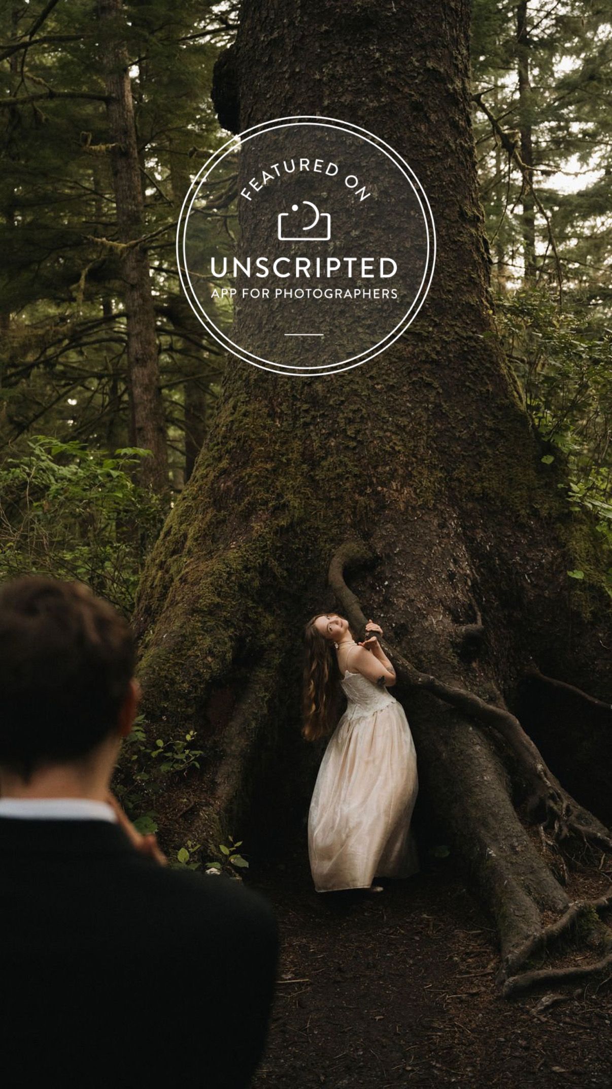 Bride in white gown posing in roots of massive moss-covered tree in dark forest.