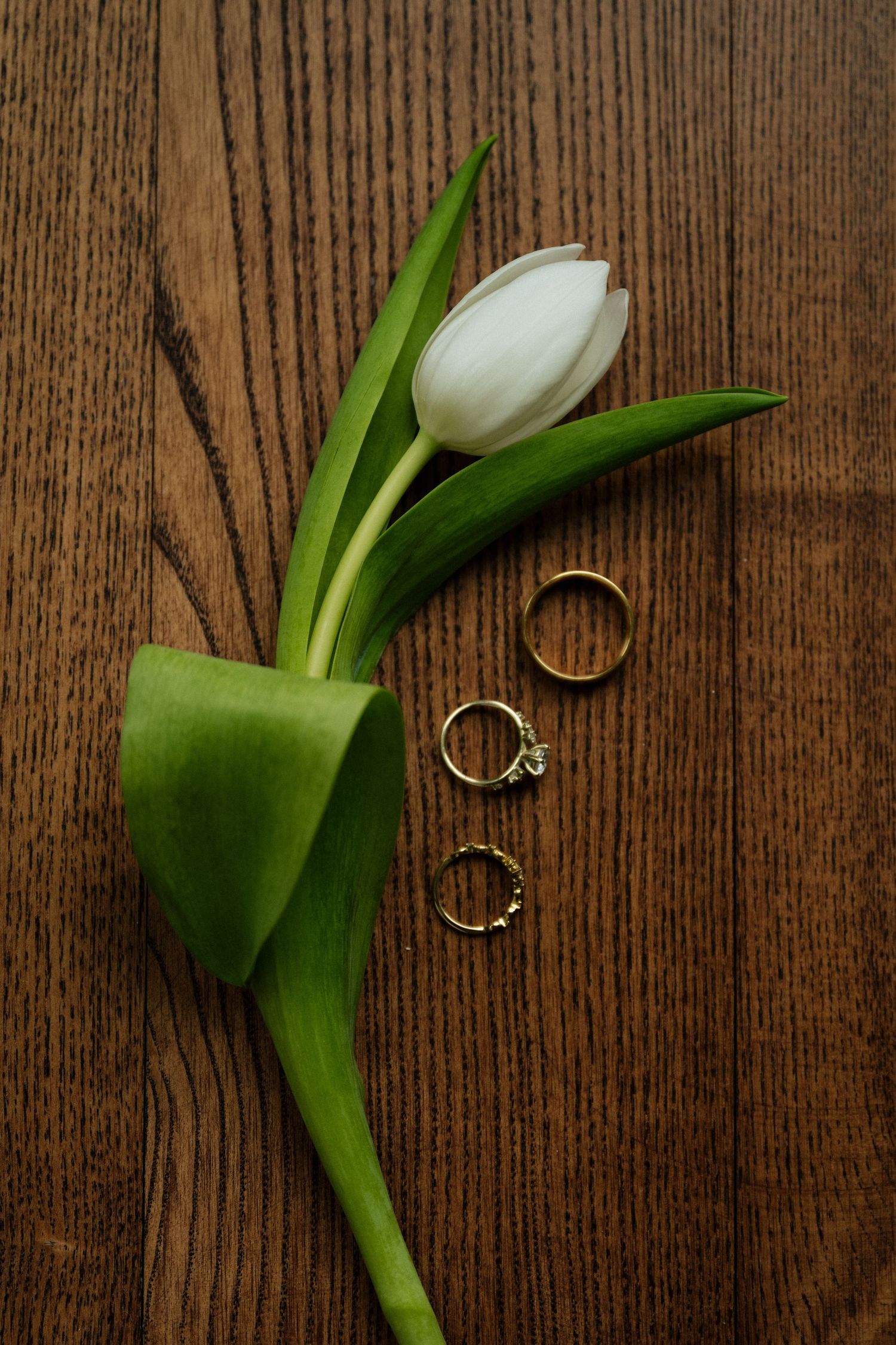 Three gold wedding rings arranged beside a white tulip on a rustic wooden surface.