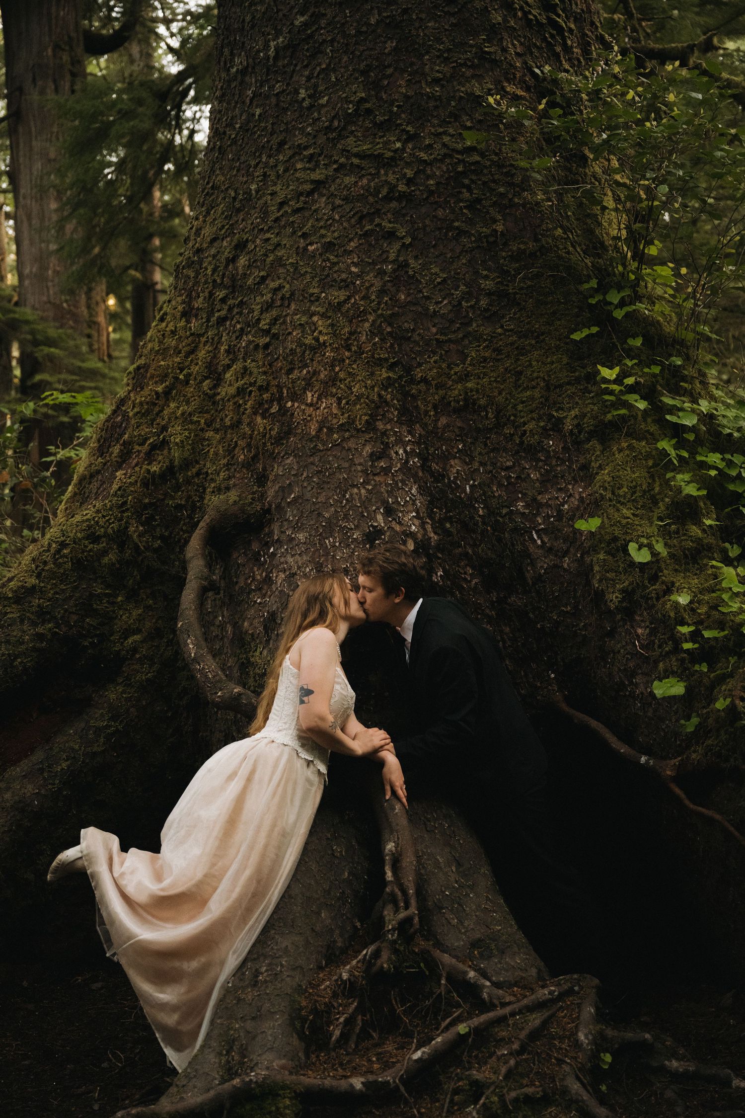 Bride and groom share a romantic kiss leaning against a massive moss-covered tree in a lush green forest.