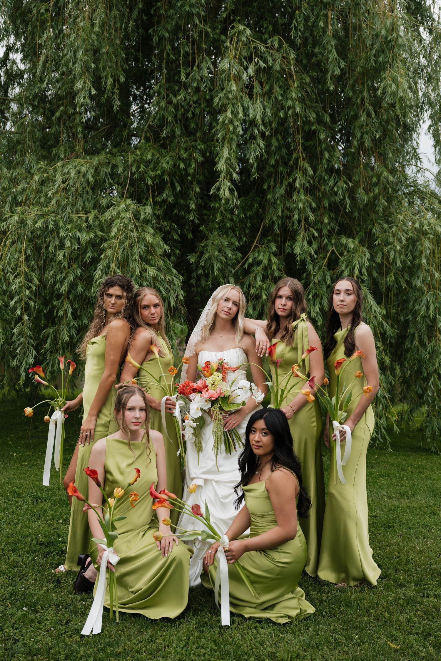 Bride in white gown with six bridesmaids in olive green satin dresses holding red tulips, posing under a weeping willow.