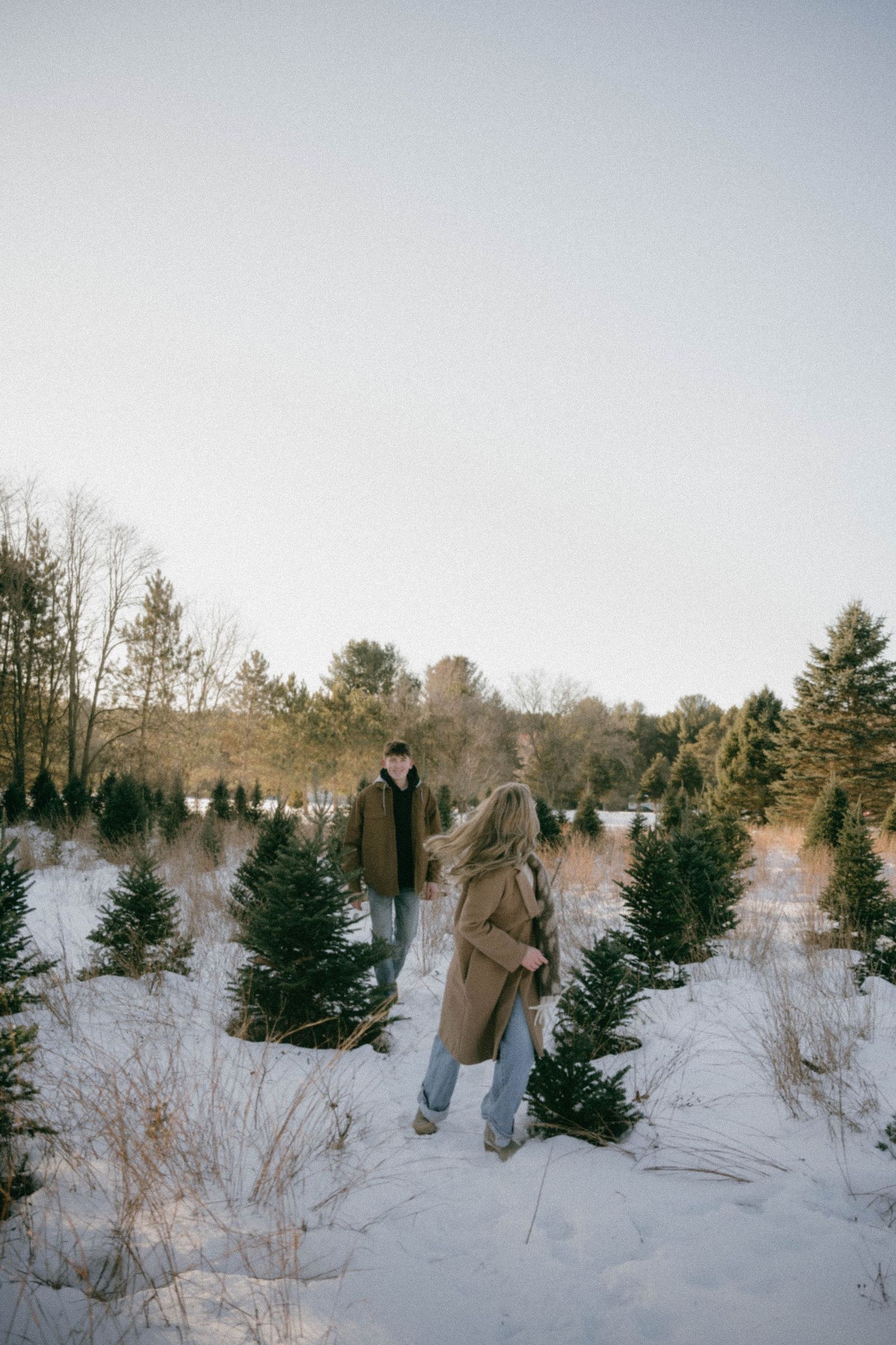 Couple walking through a snowy Christmas tree farm during golden hour winter light.