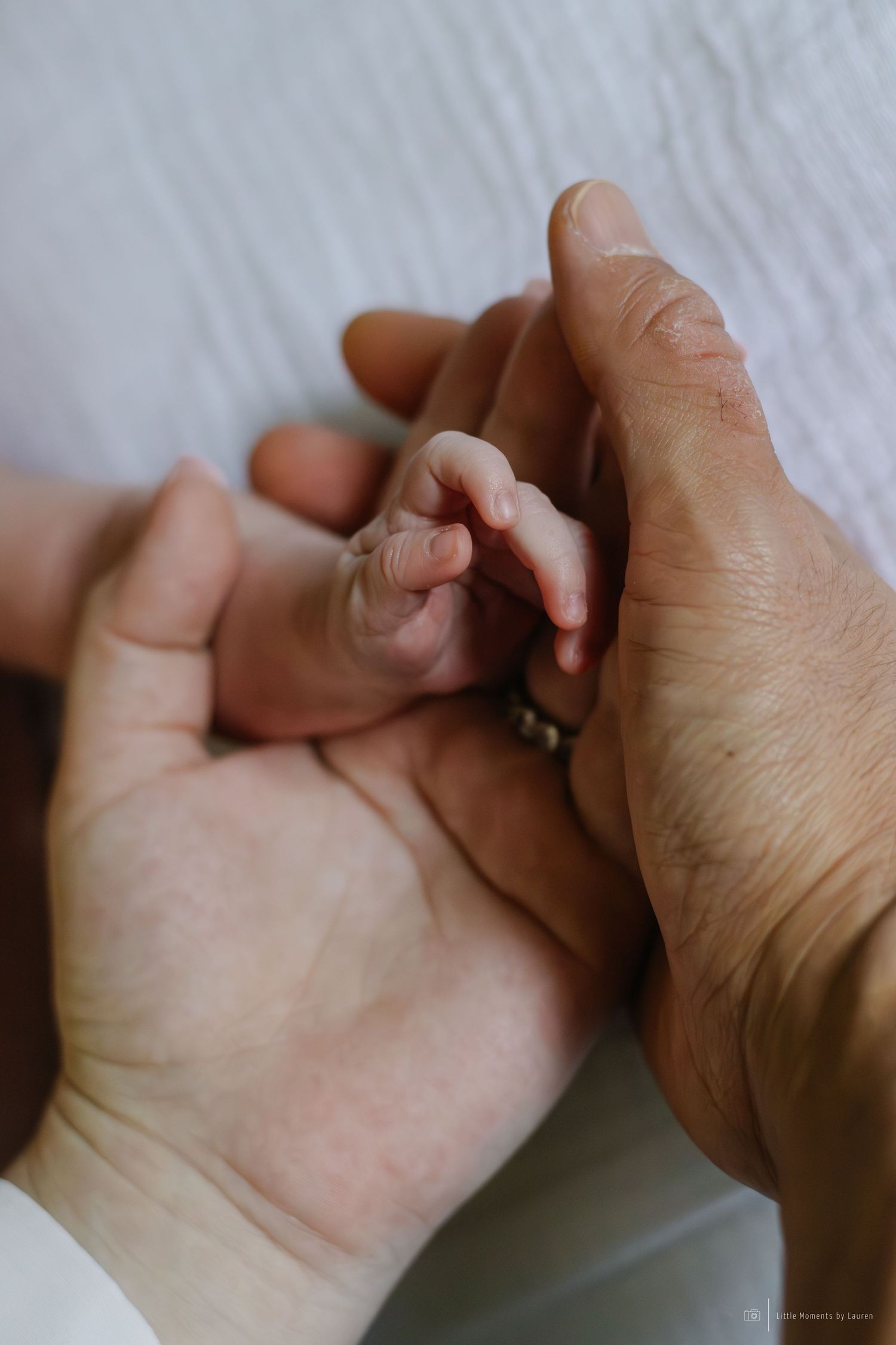 Tiny newborn baby fist resting gently in two adult hands on white background.