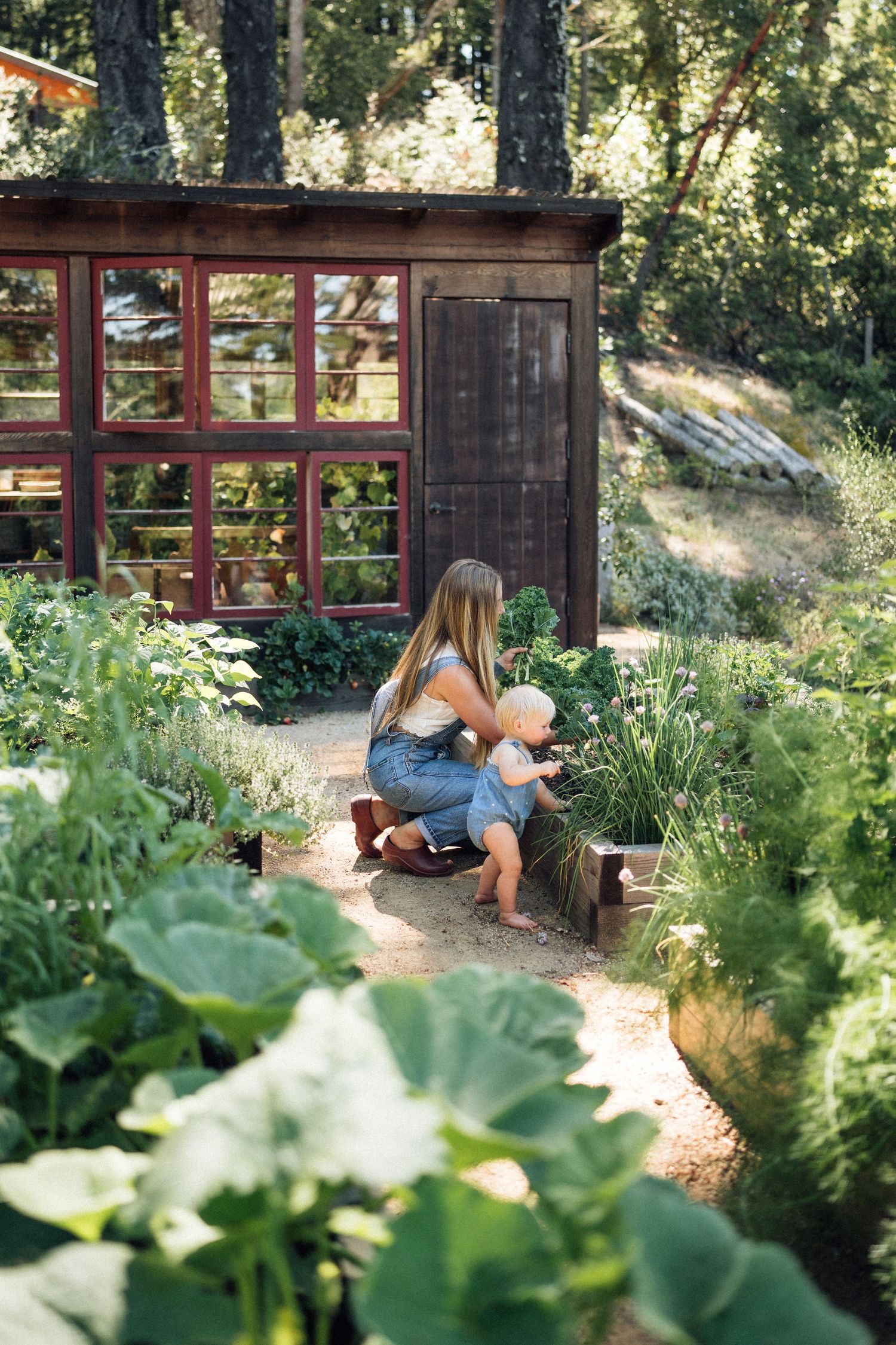 Woman and toddler exploring a lush garden beside a rustic wooden greenhouse surrounded by green plants.