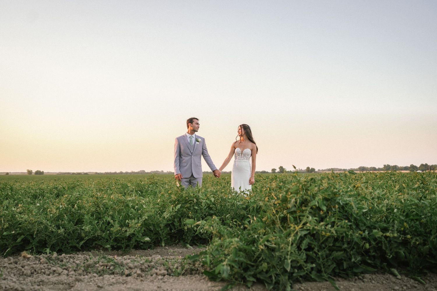 Romantic couple walking together at sunset in a lush green field.
