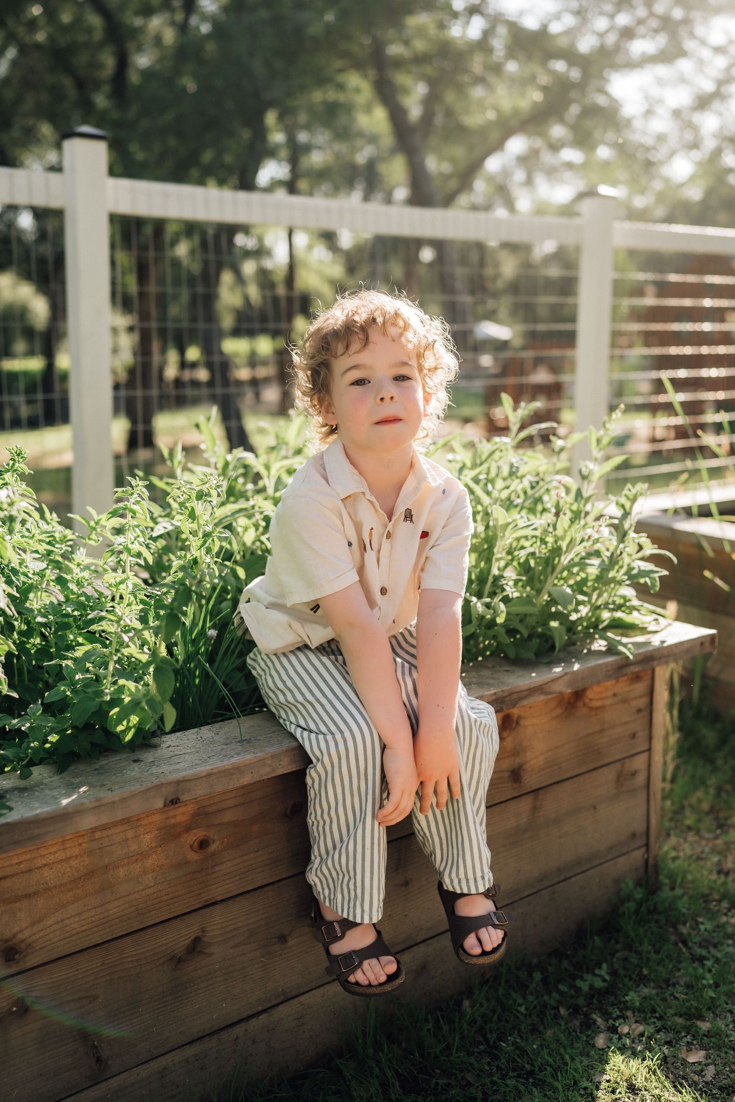 A curly-haired toddler sits on a wooden raised garden bed wearing striped pants and a cream shirt in a sunny backyard.