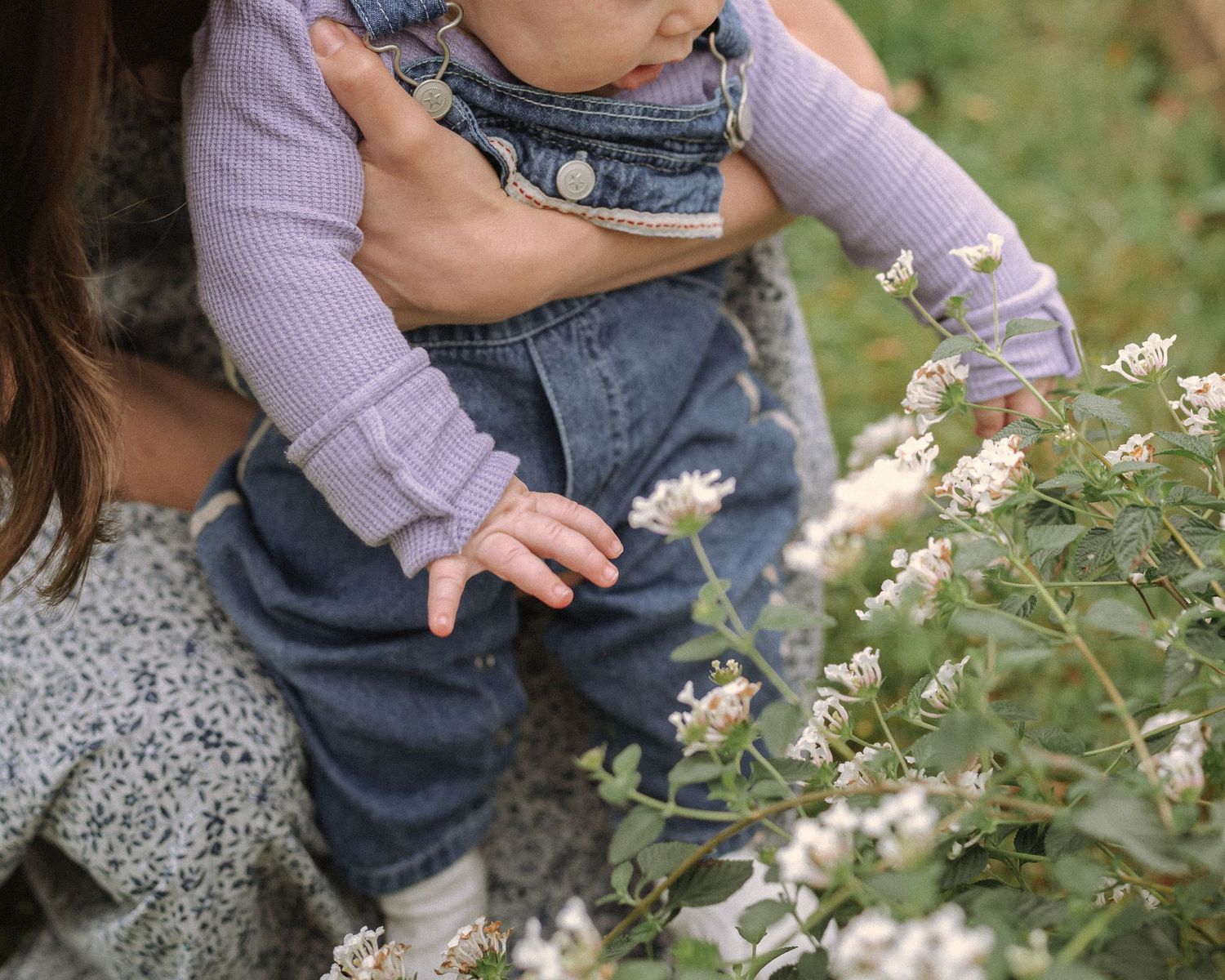 Detail shots of small denim overalls against white daisies in a garden setting.