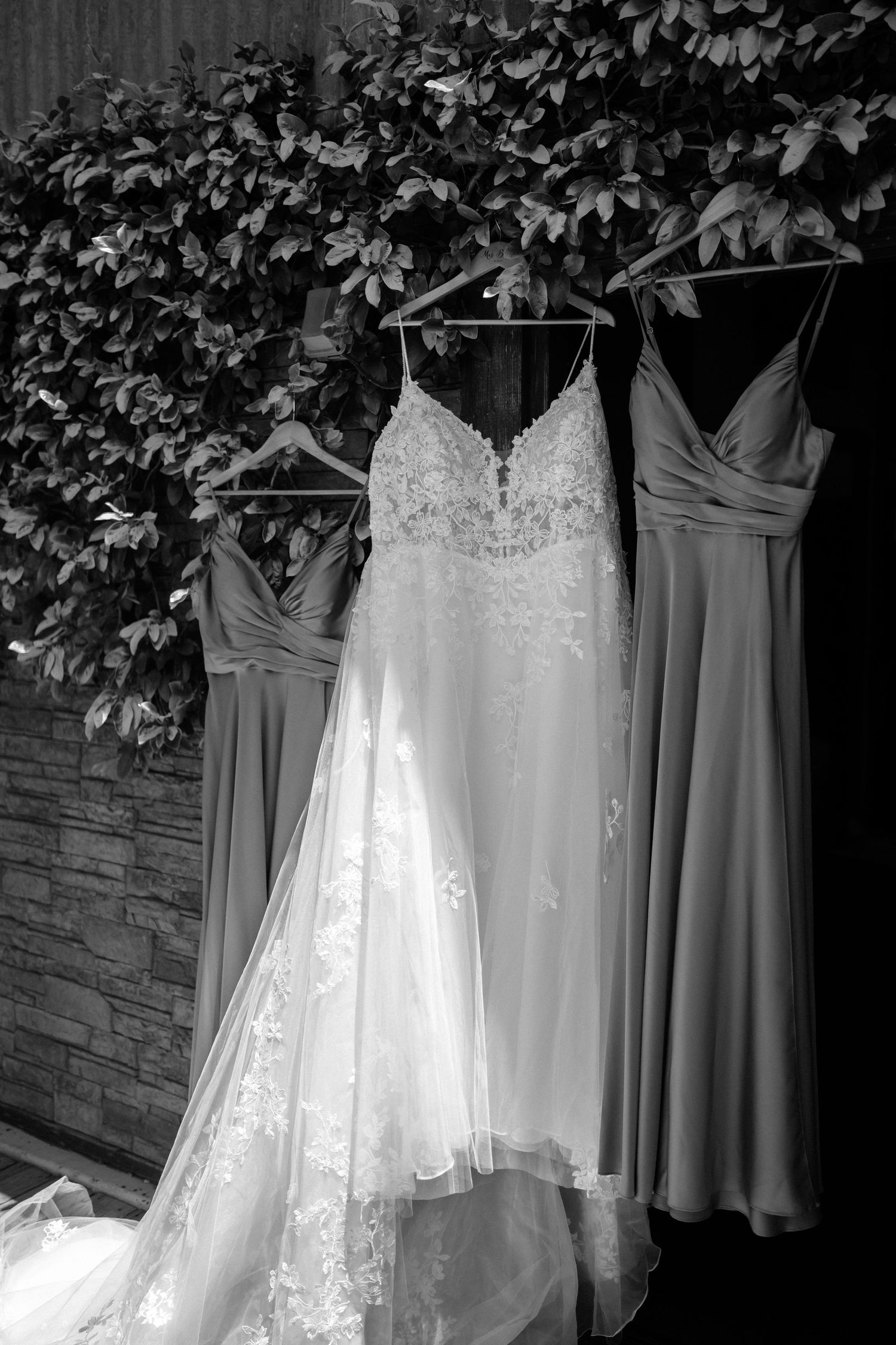 Wedding and bridesmaid dresses displayed on hangers against a stone wall with greenery.