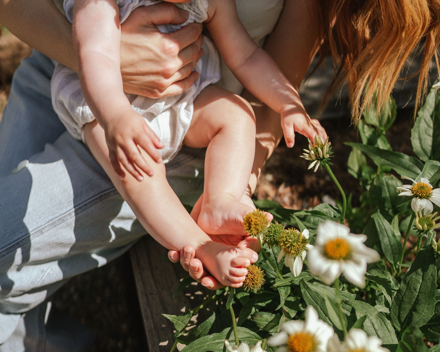 Close-up of hands touching flowers in a garden with soft natural lighting.